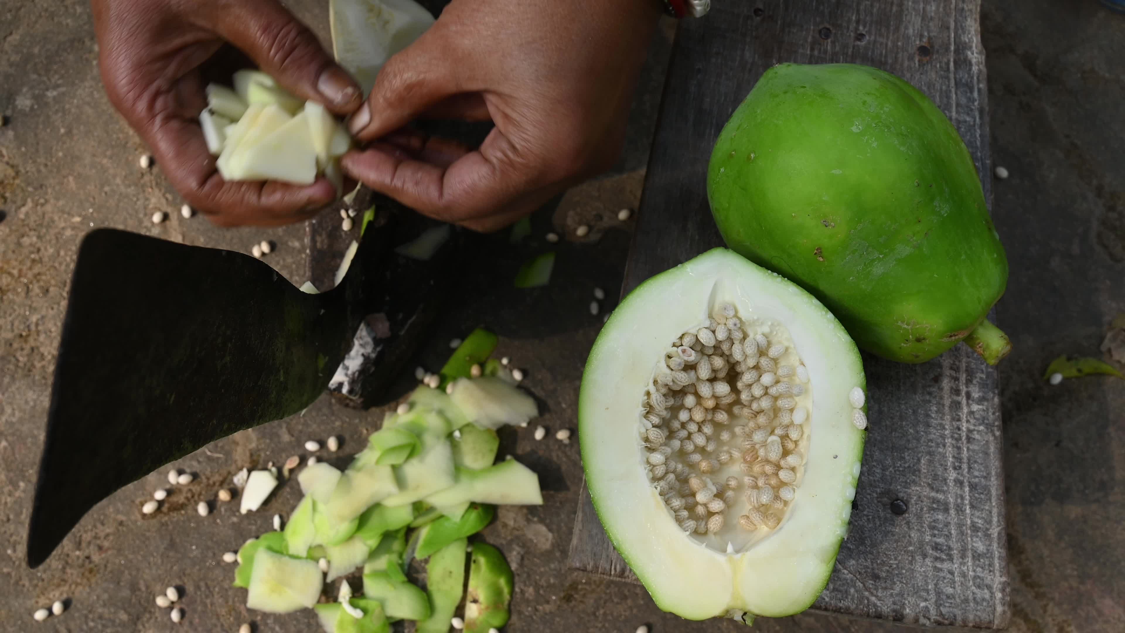 Papaya Tree - Carica Papaya - Fruit Fly - Papaya seeds - Cultivation