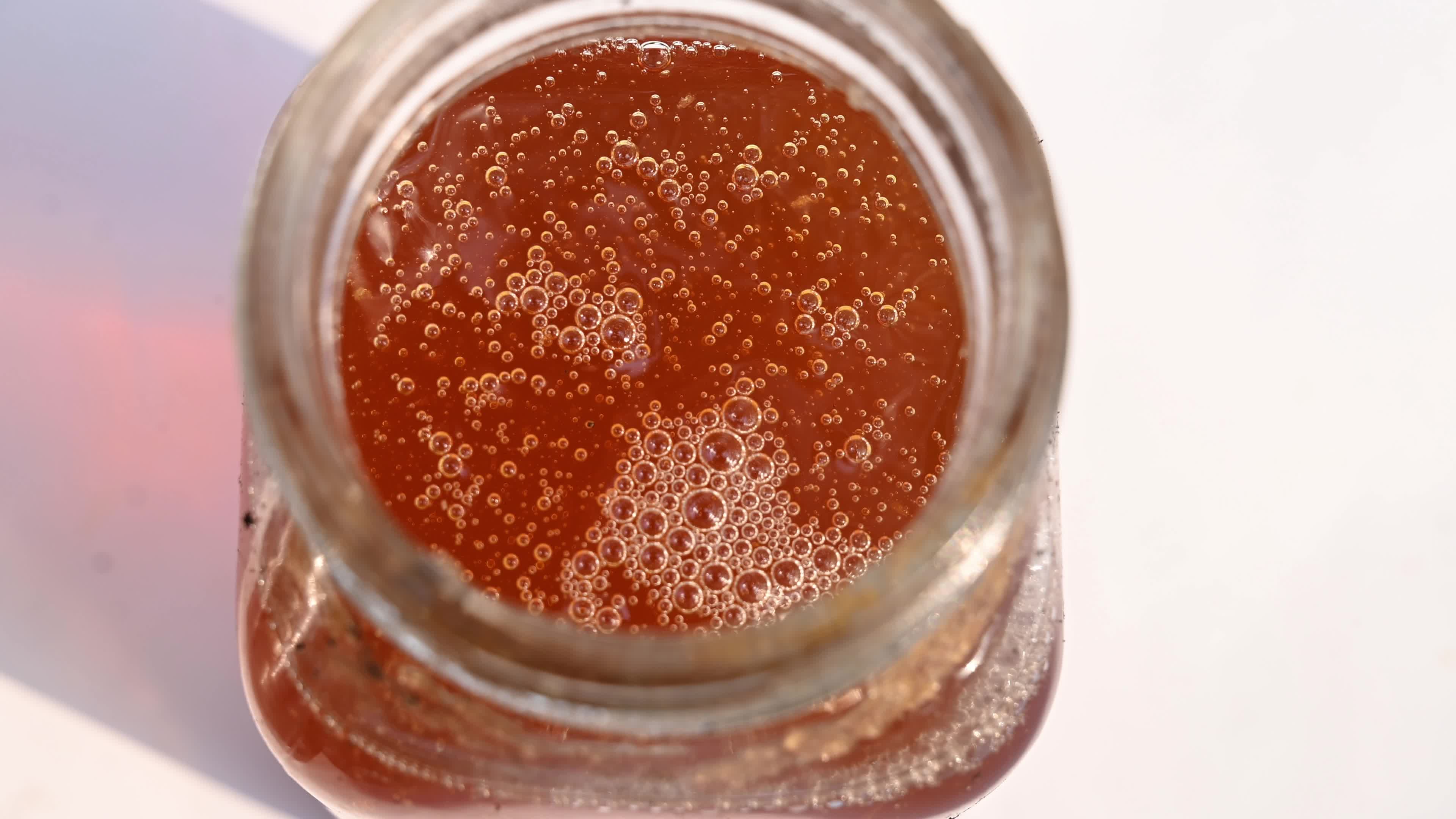 Apis dorsata honey - Rock bee honey - Forest honey - Holy Basil 