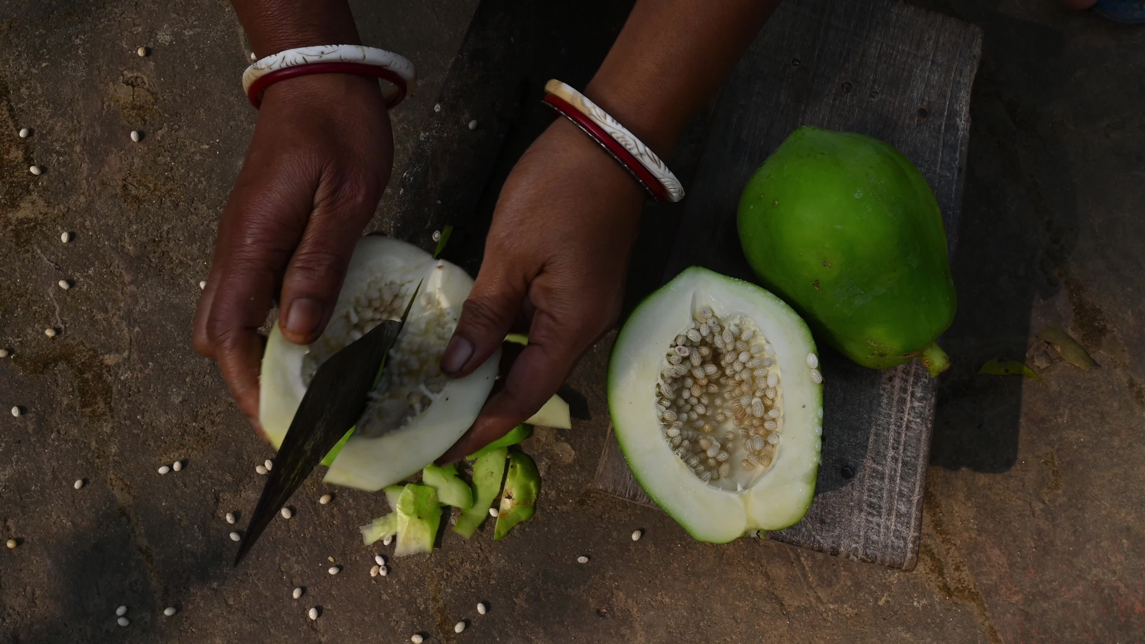 Papaya Tree - Carica Papaya - Fruit Fly - Papaya seeds - Cultivation