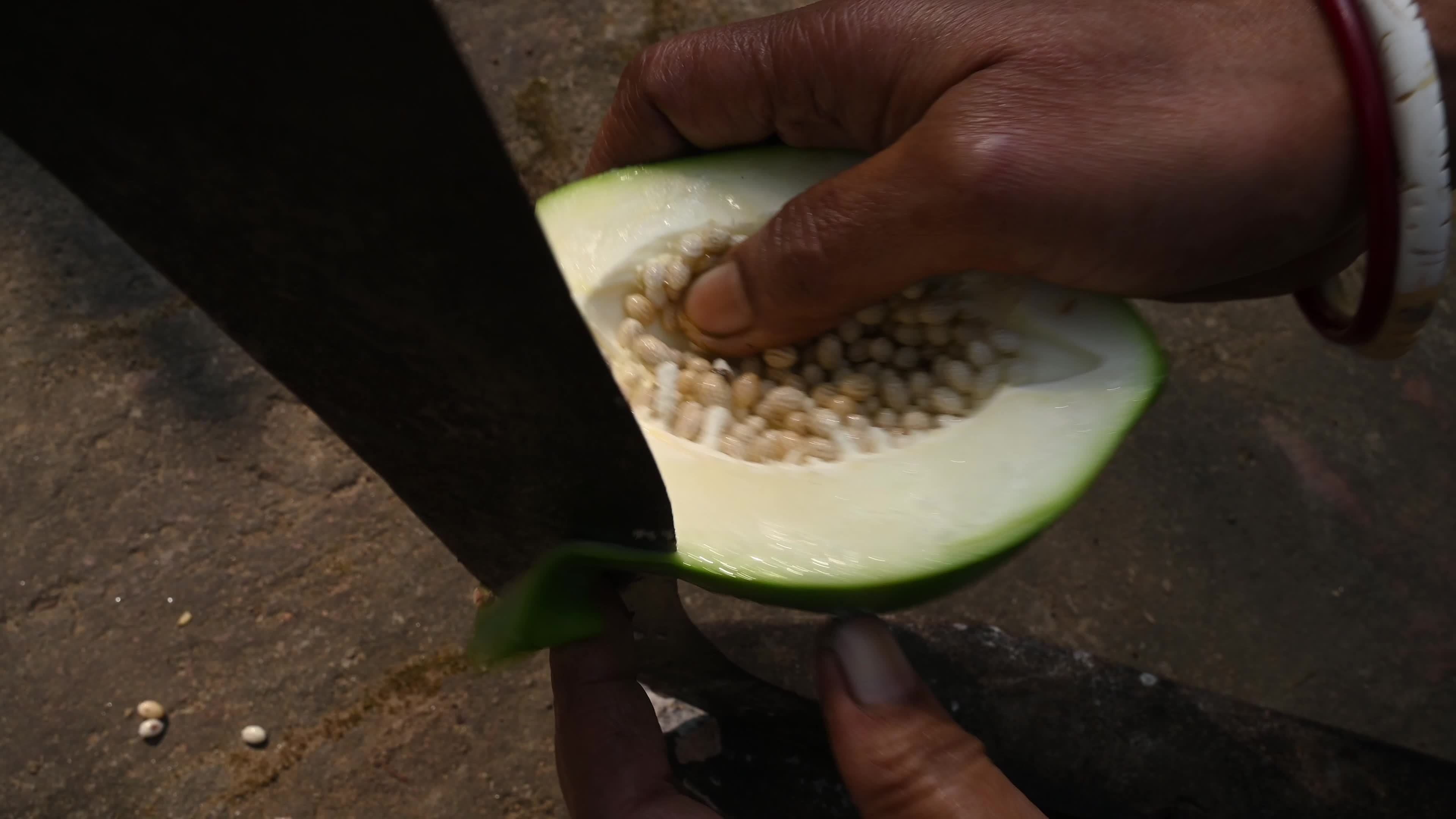 Papaya Tree - Carica Papaya - Fruit Fly - Papaya seeds - Cultivation