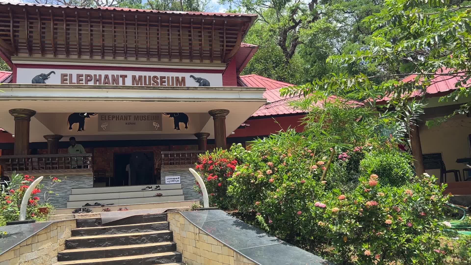 Elephant museum in Kerala