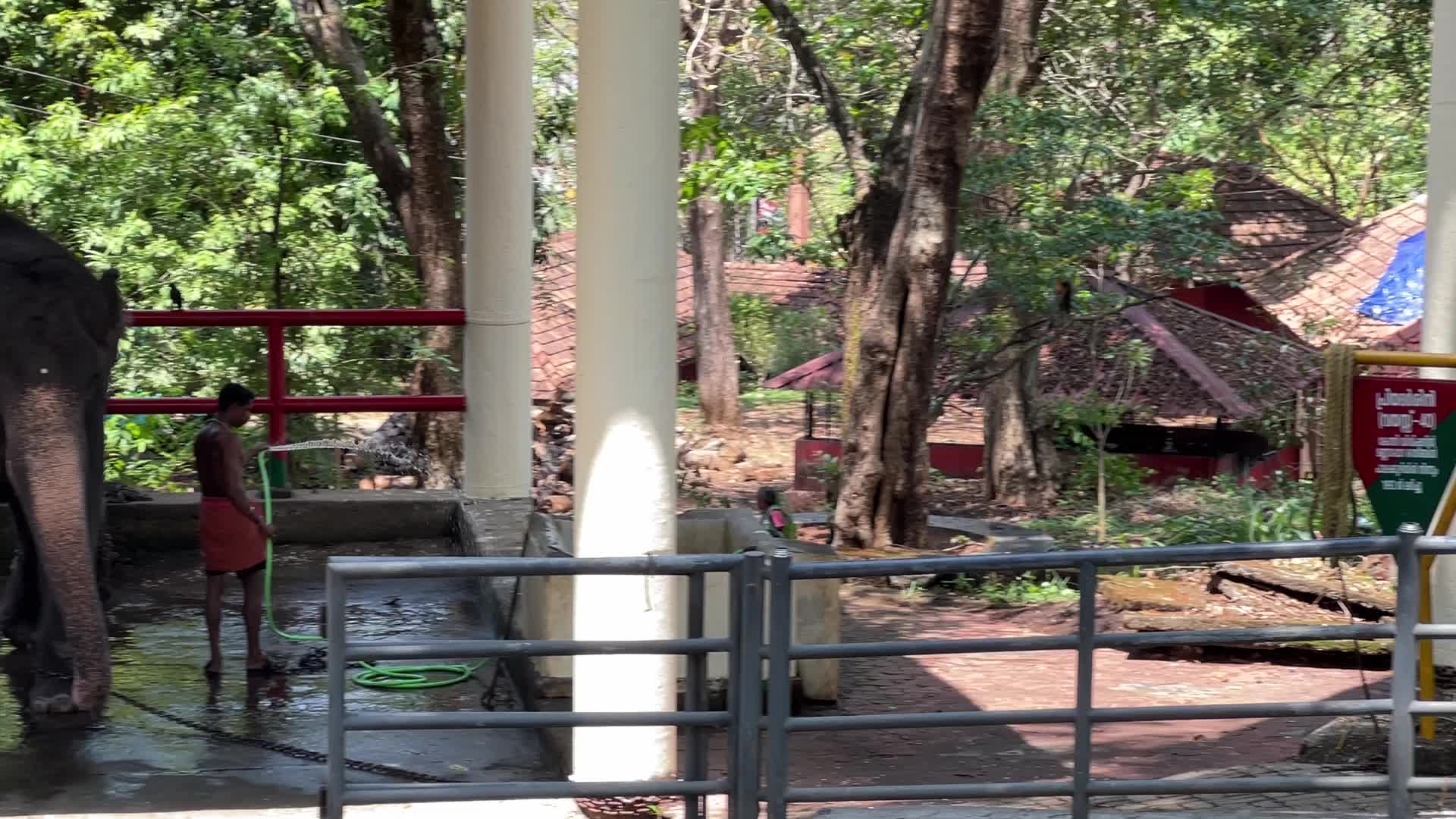 Konni Elephant Training Centre