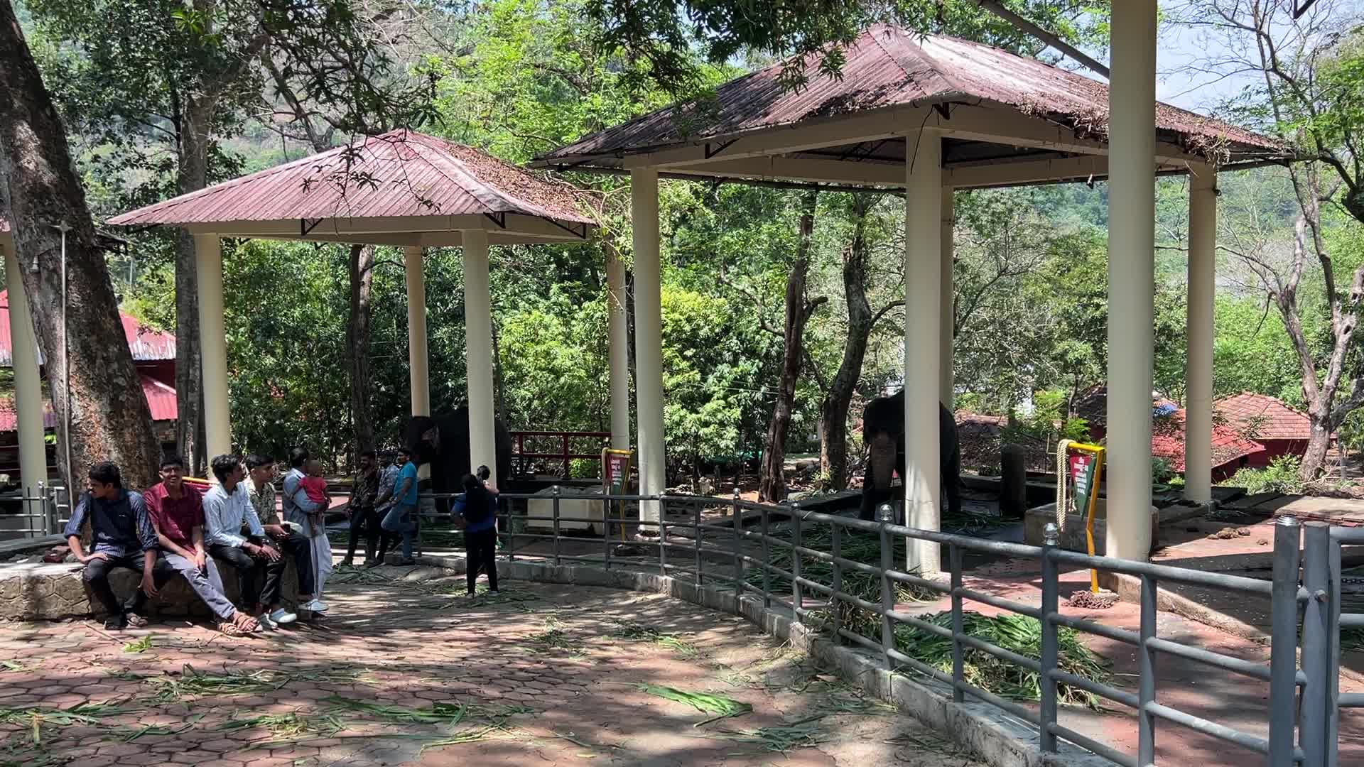 Konni Elephant Training Centre
