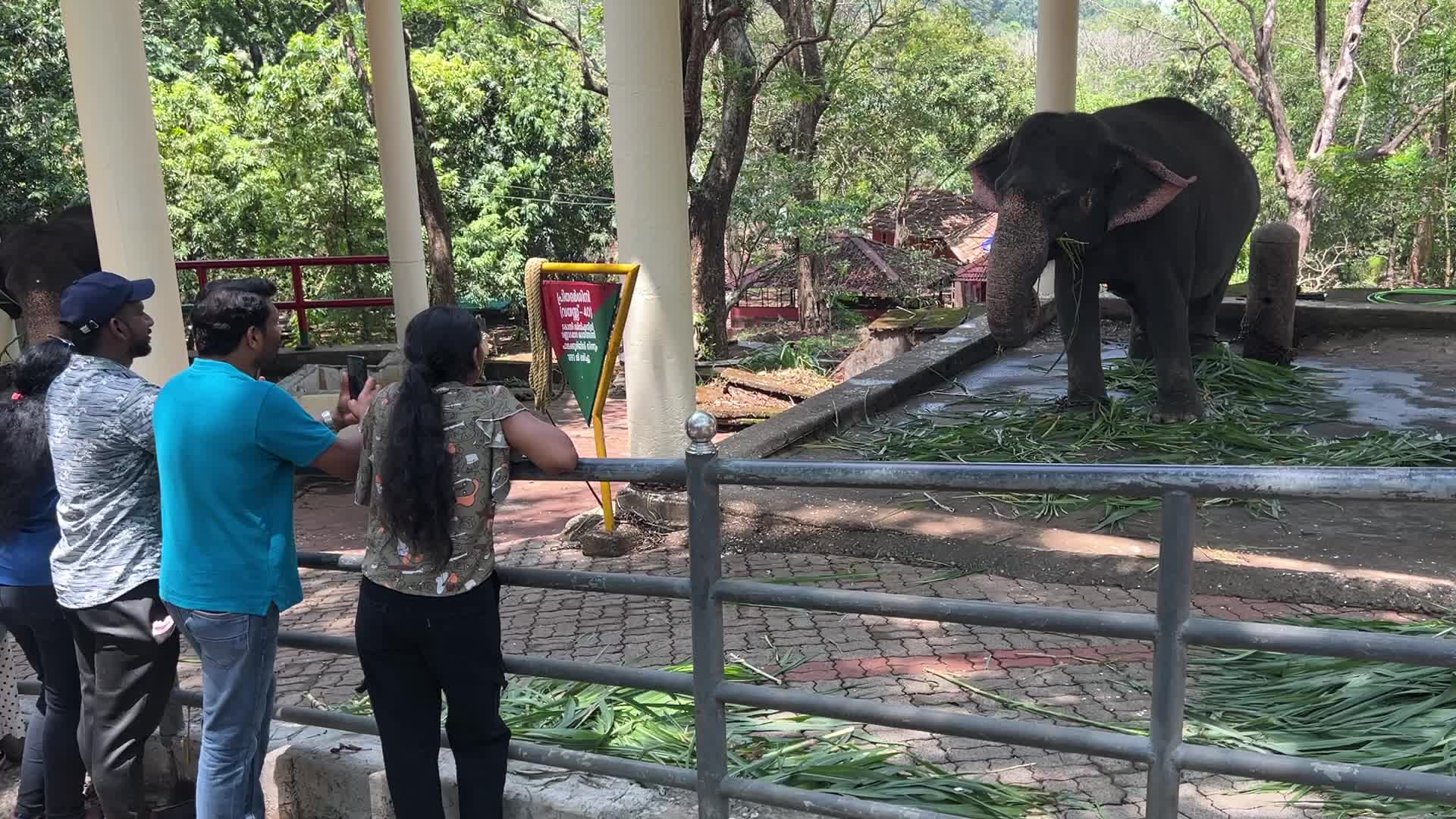 Konni Elephant Training Centre