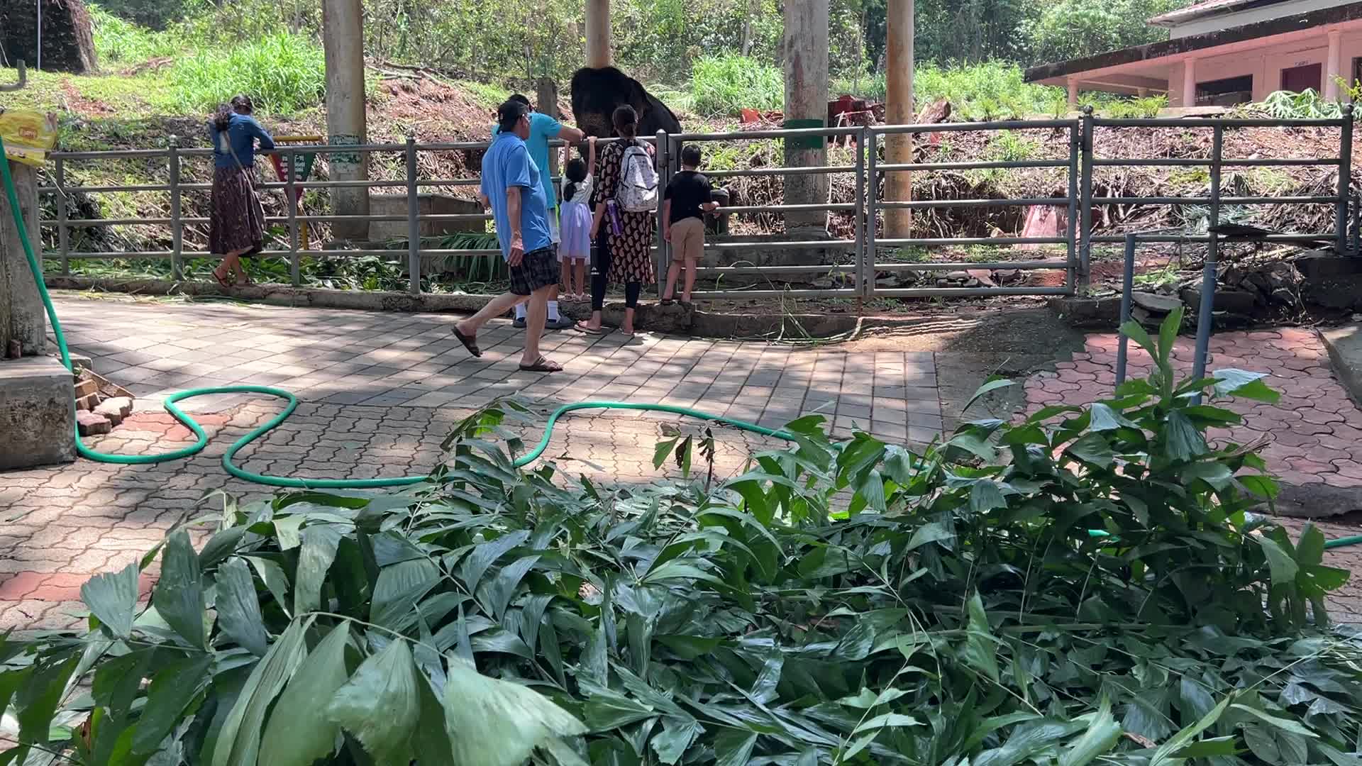 Konni Elephant Training Centre