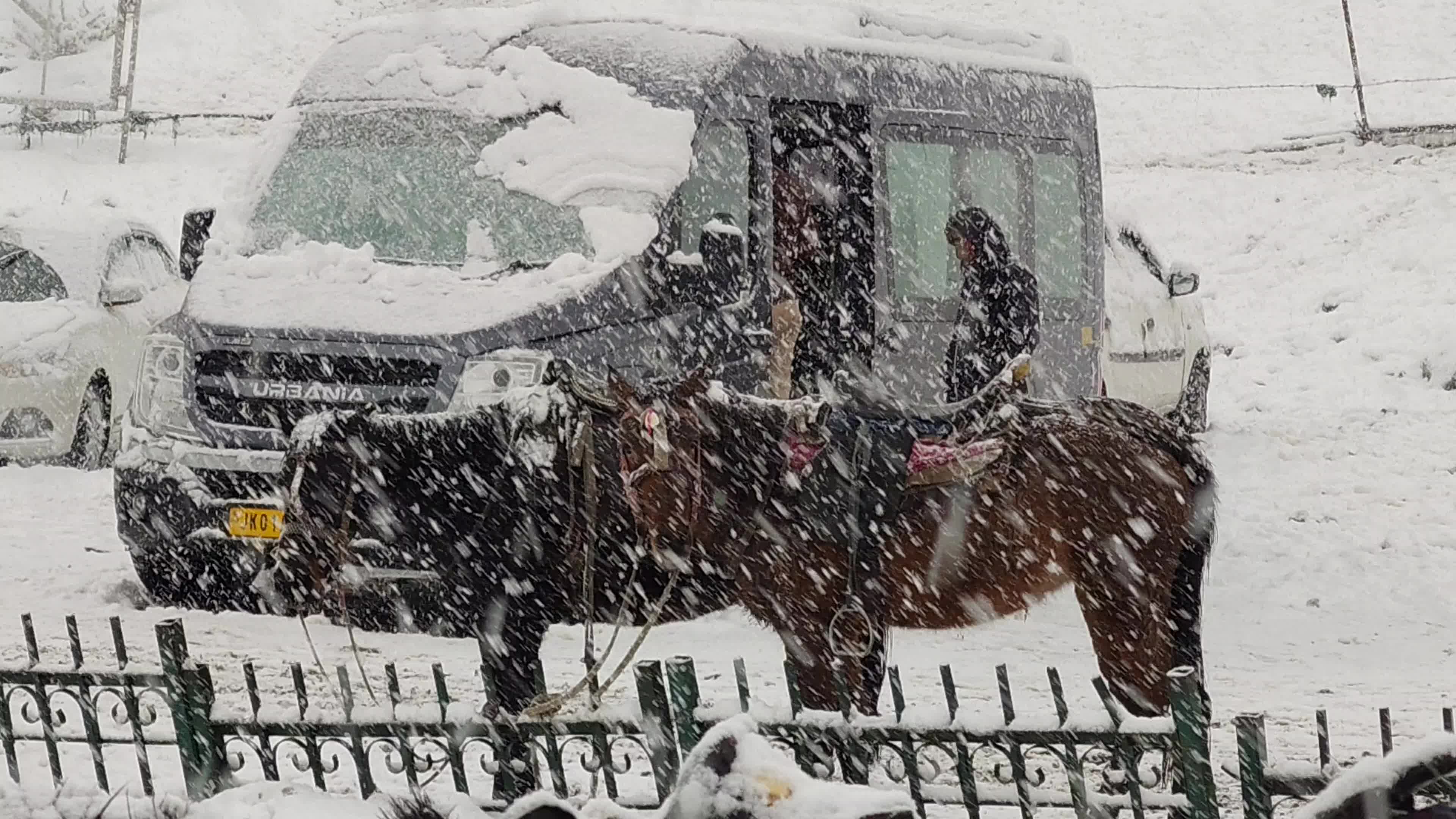 Heavy Snowfall Breaks 40-Day Dry Spell as ‘Chillai Kalan’ Begins in Kashmir