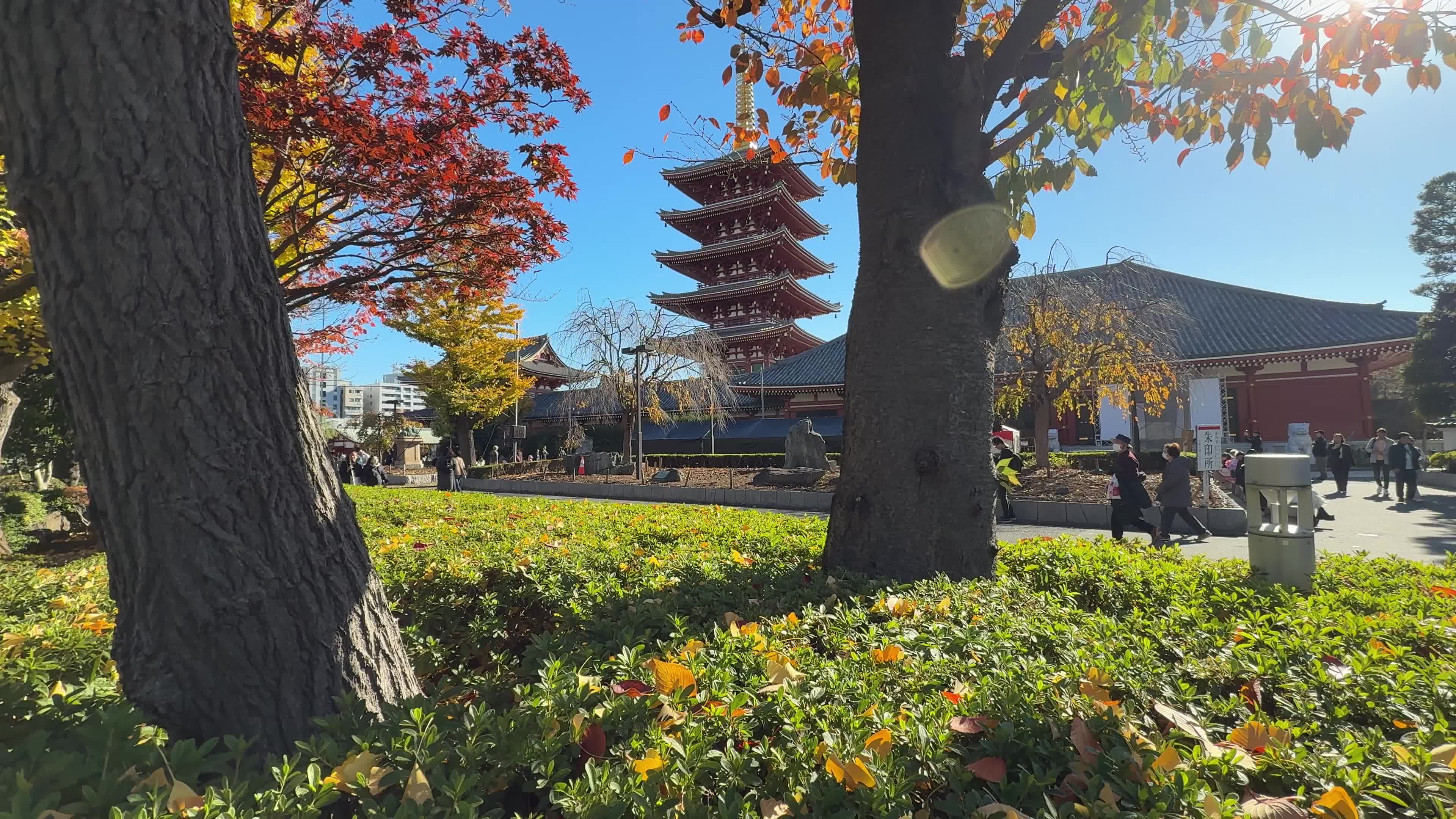 Daily Life in Tokyo