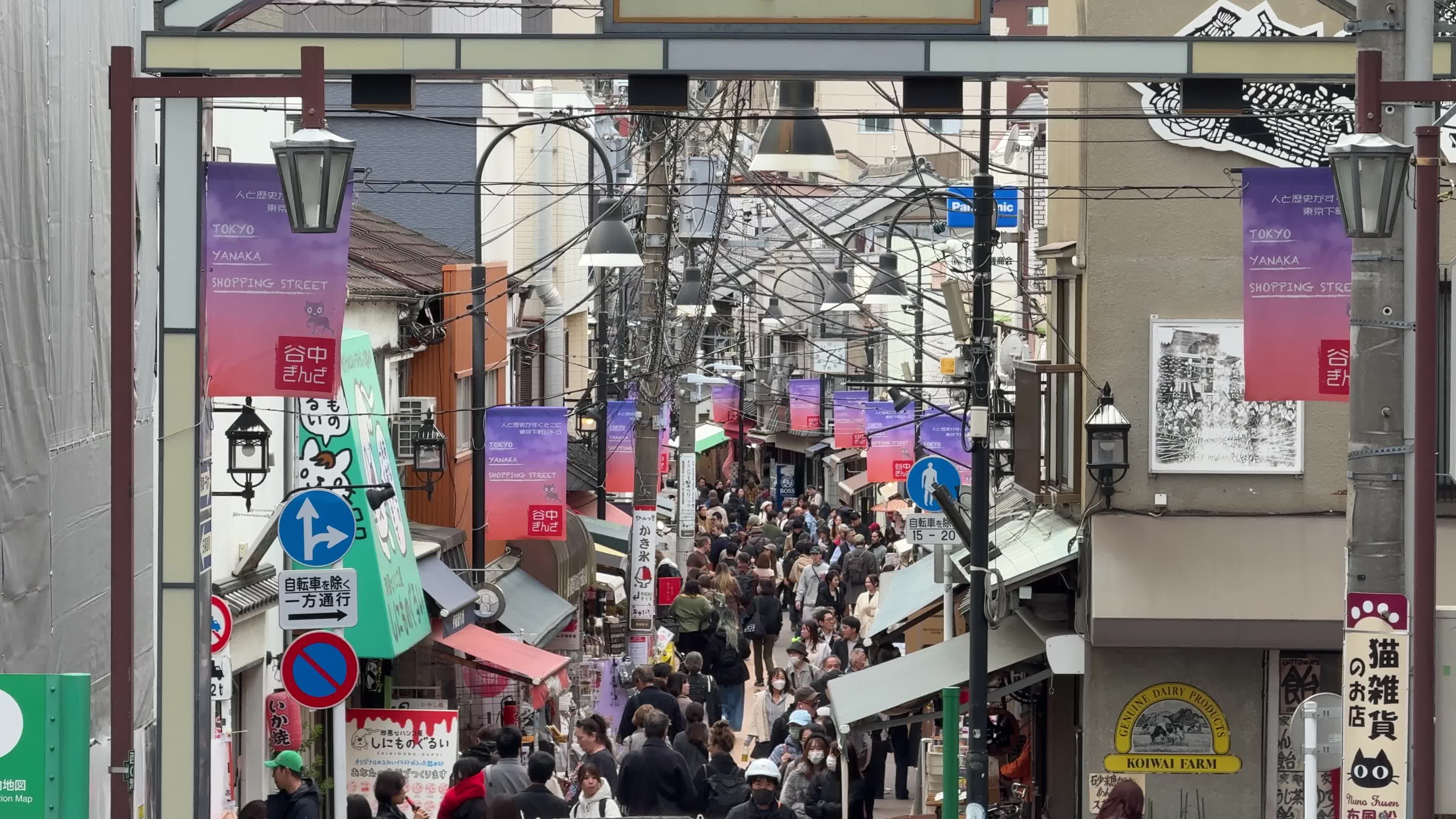 Daily Life in Tokyo
