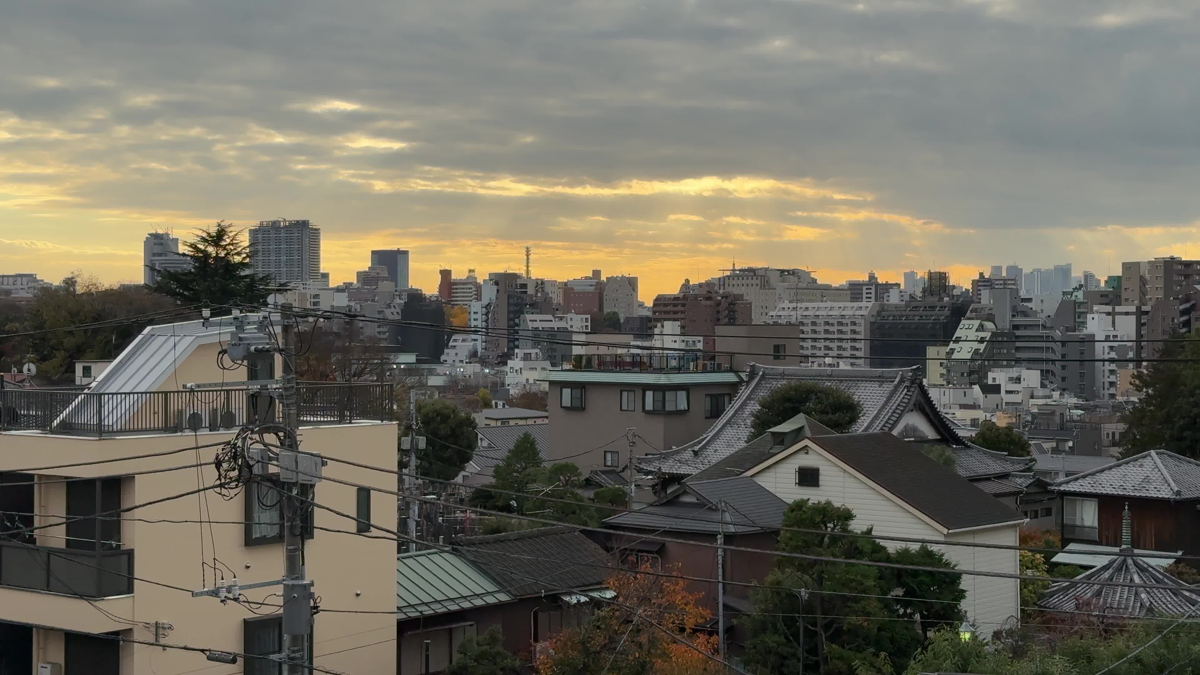 Daily Life in Tokyo