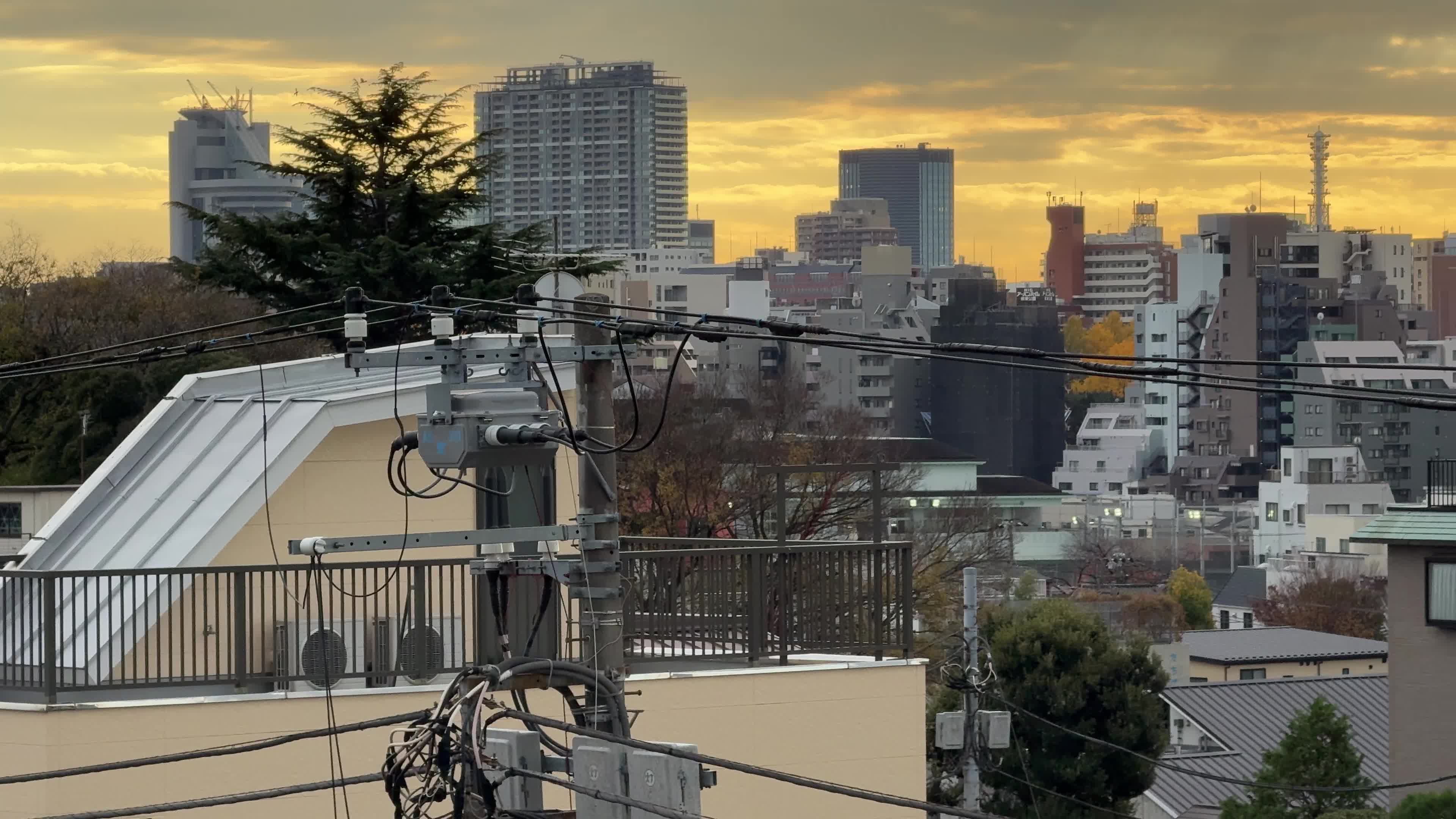 Daily Life in Tokyo