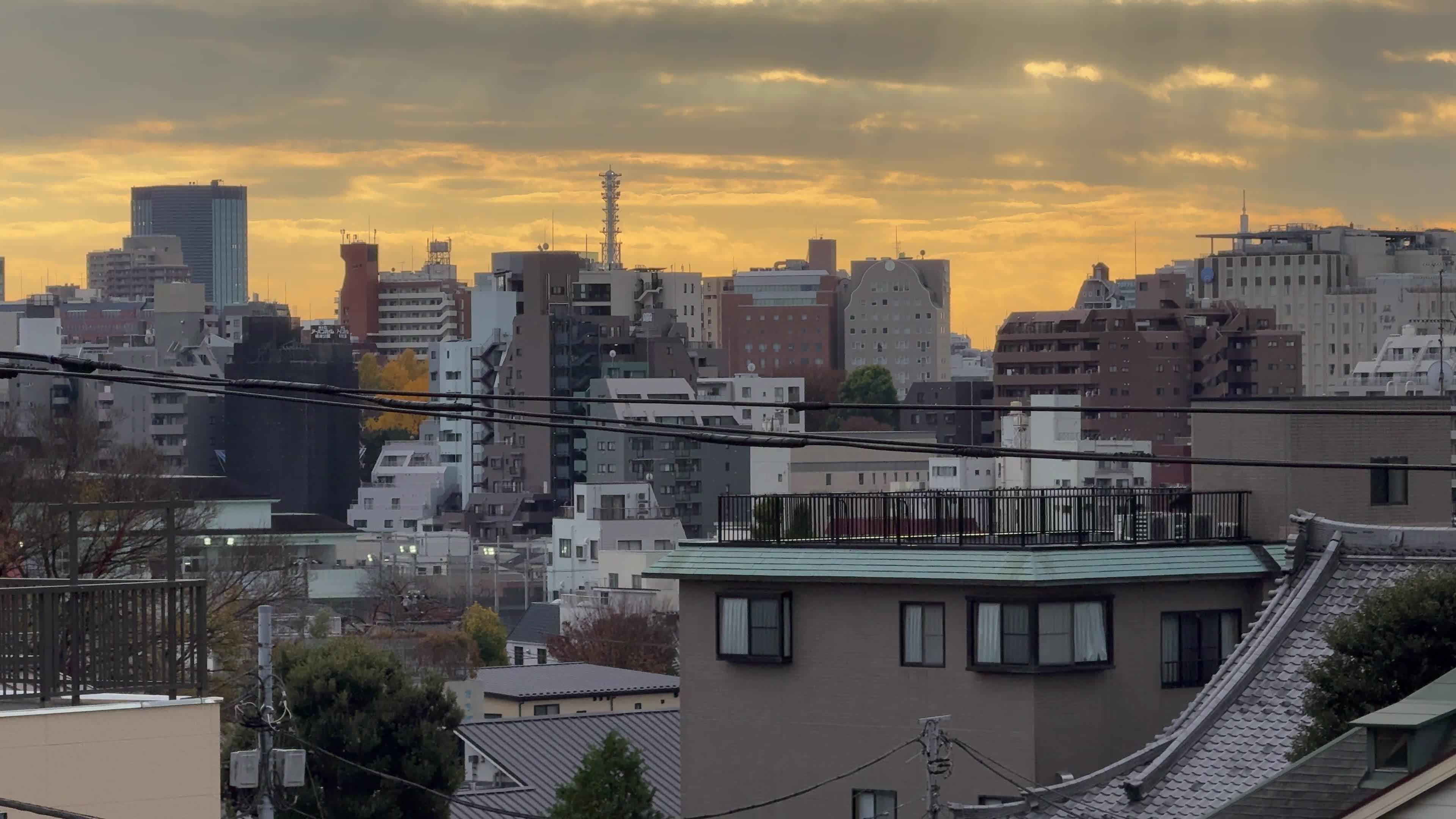 Daily Life in Tokyo