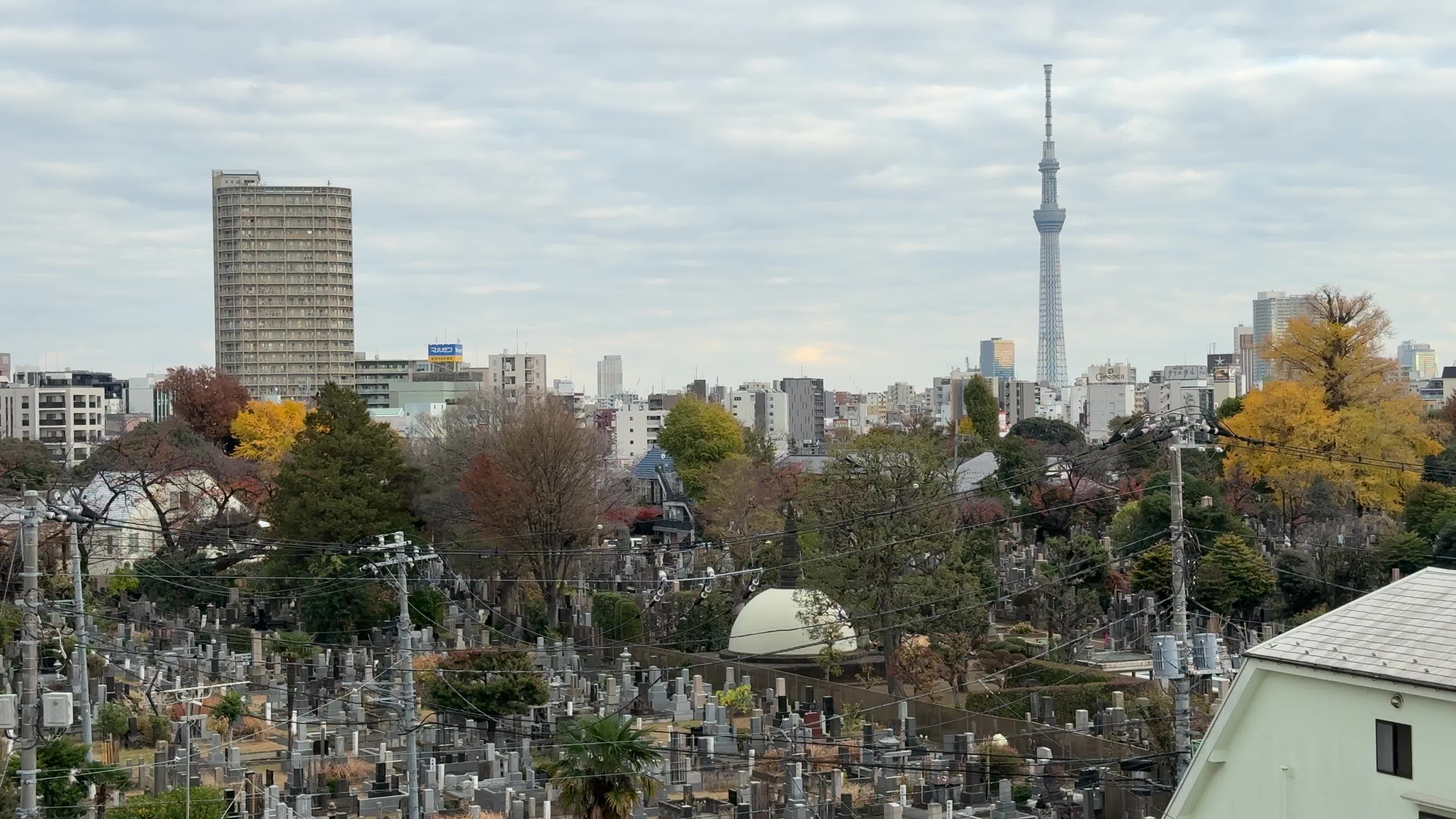 Daily Life in Tokyo