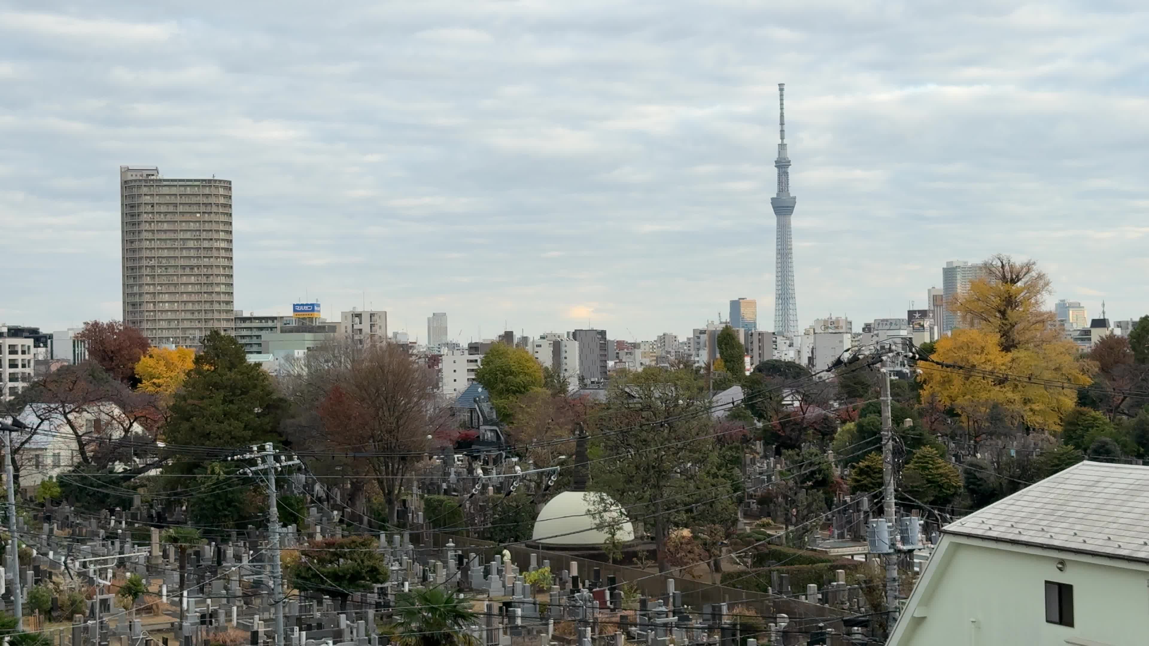 Daily Life in Tokyo