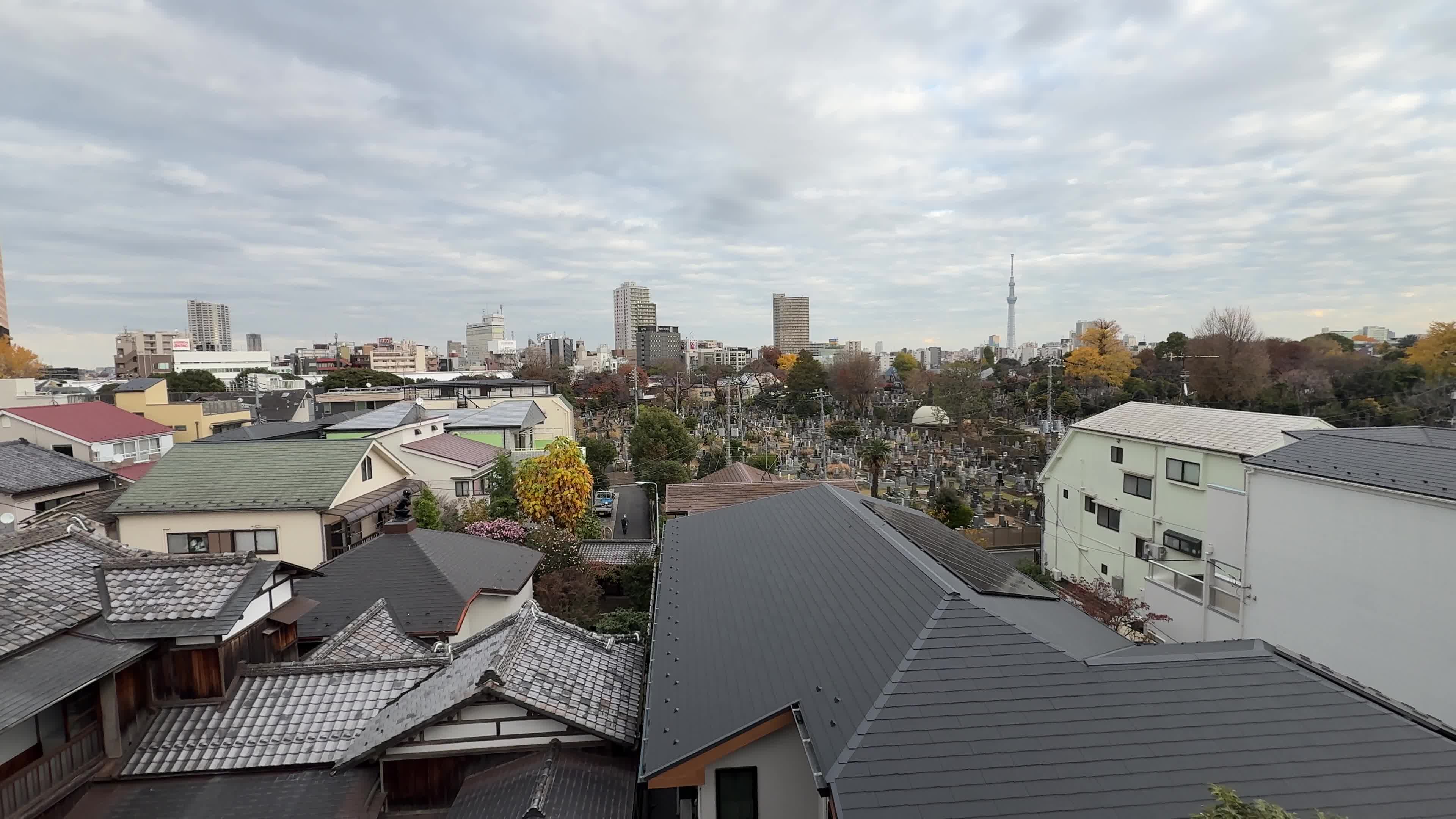 Daily Life in Tokyo