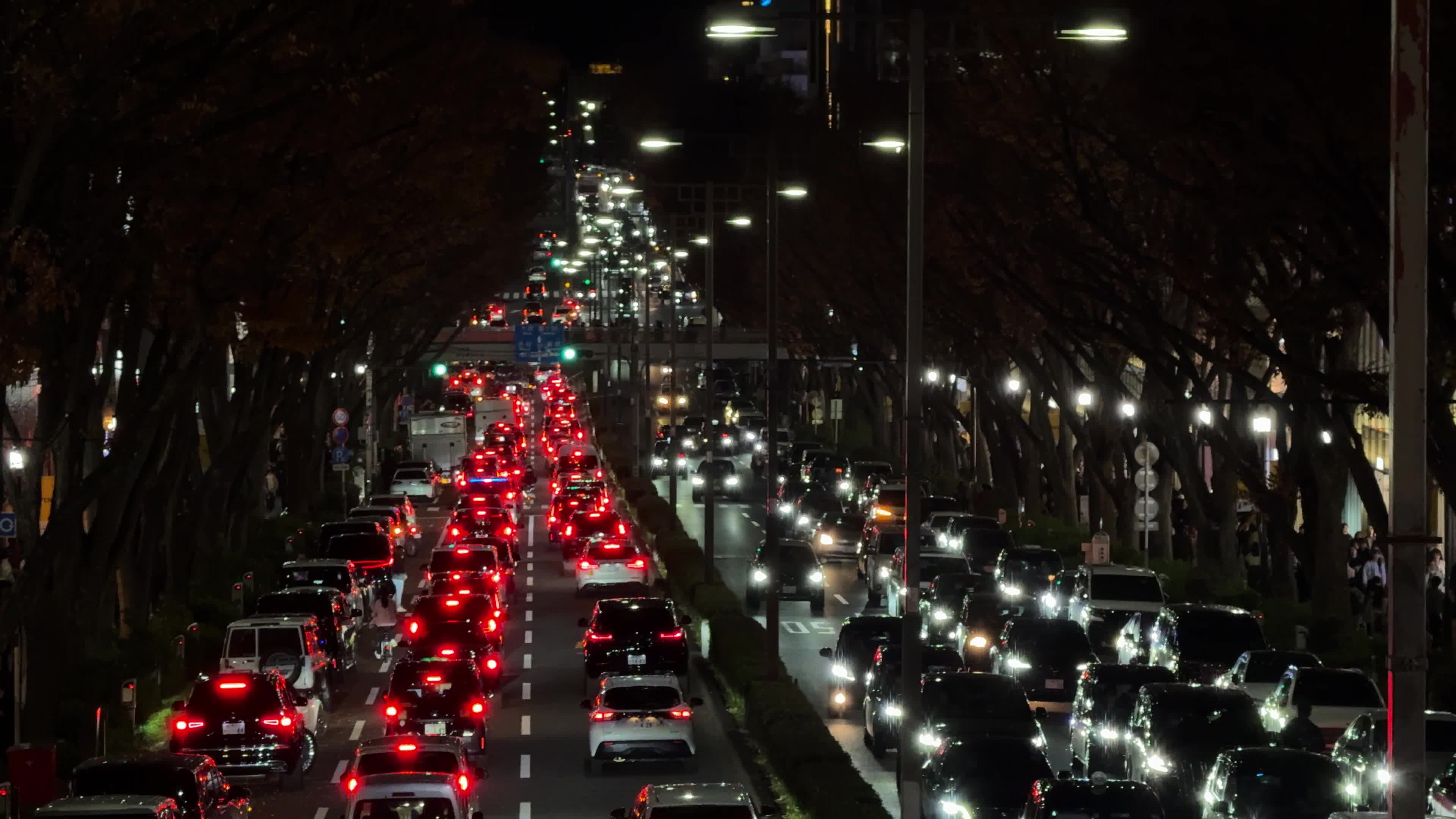 Daily Life in Tokyo