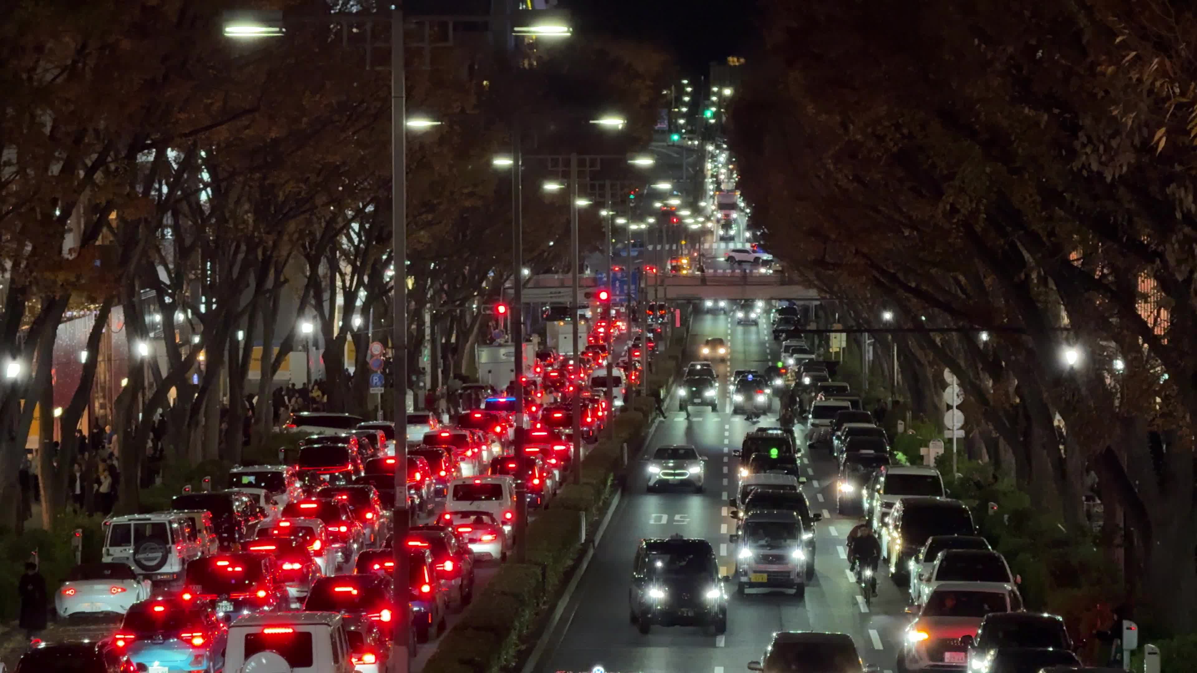 Daily Life in Tokyo