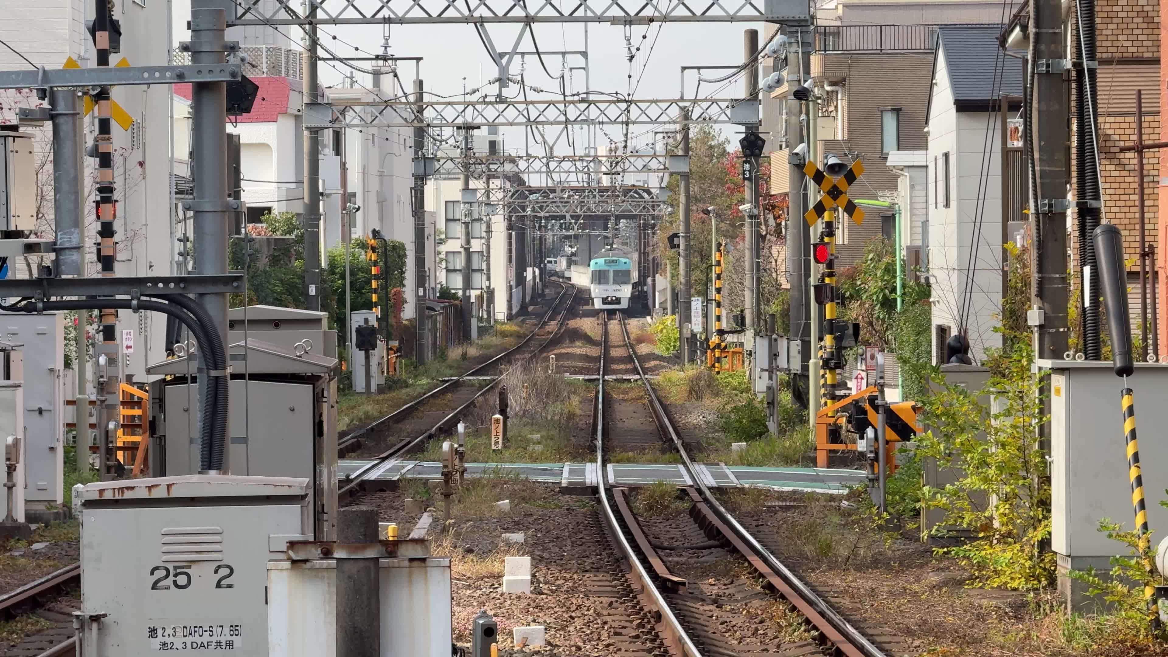 Daily Life in Tokyo