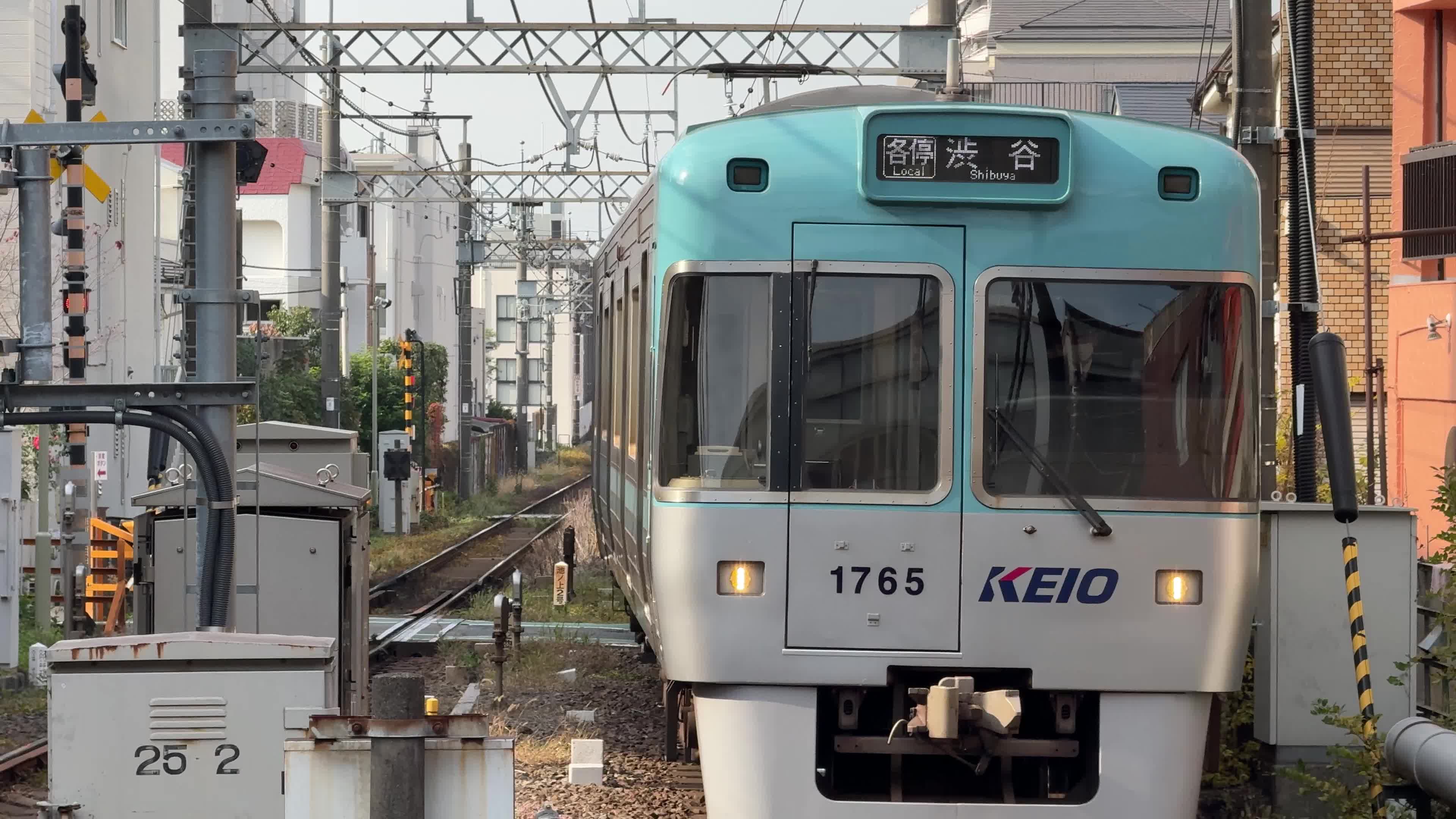 Daily Life in Tokyo