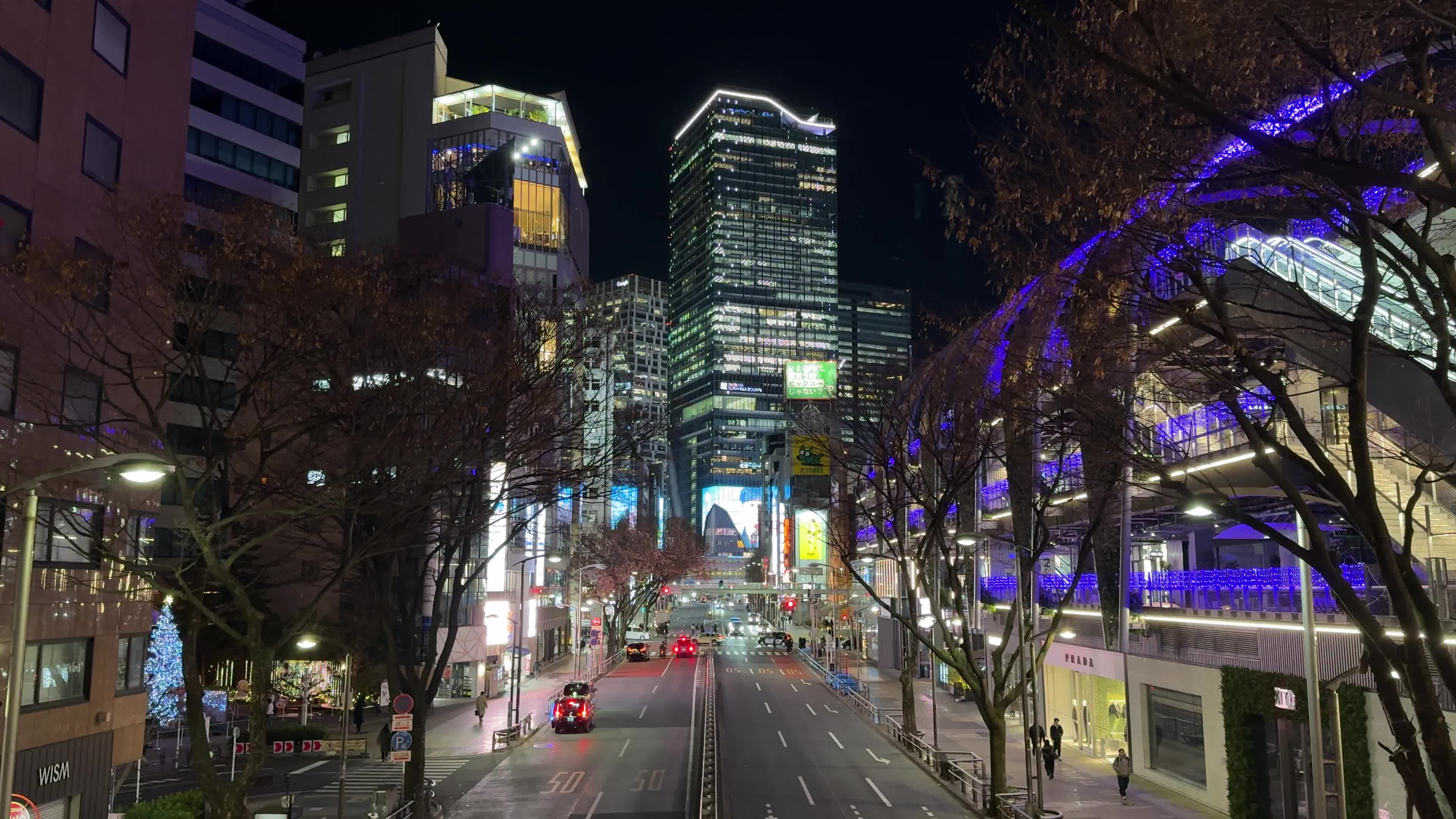 Daily Life in Tokyo
