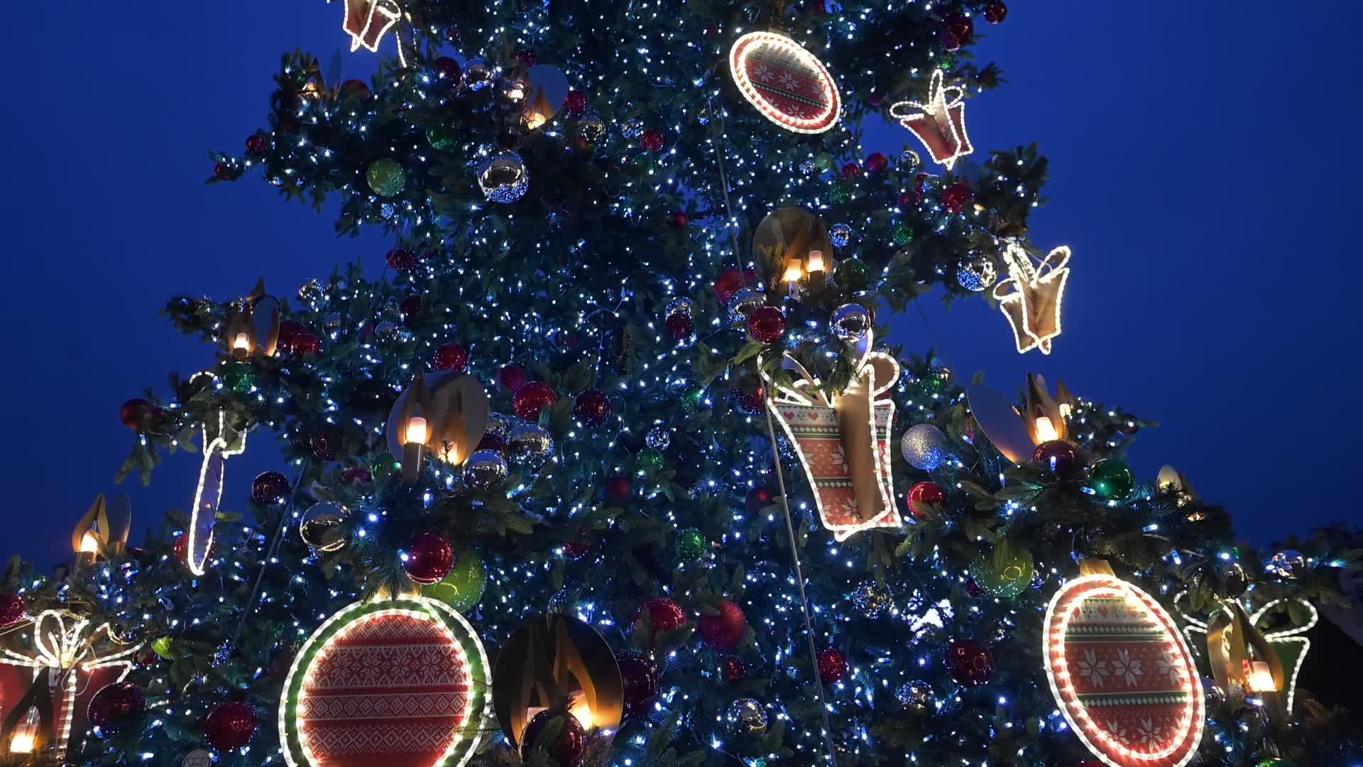 Rzeszow Christmas Market Draws Visitors on Christmas Day