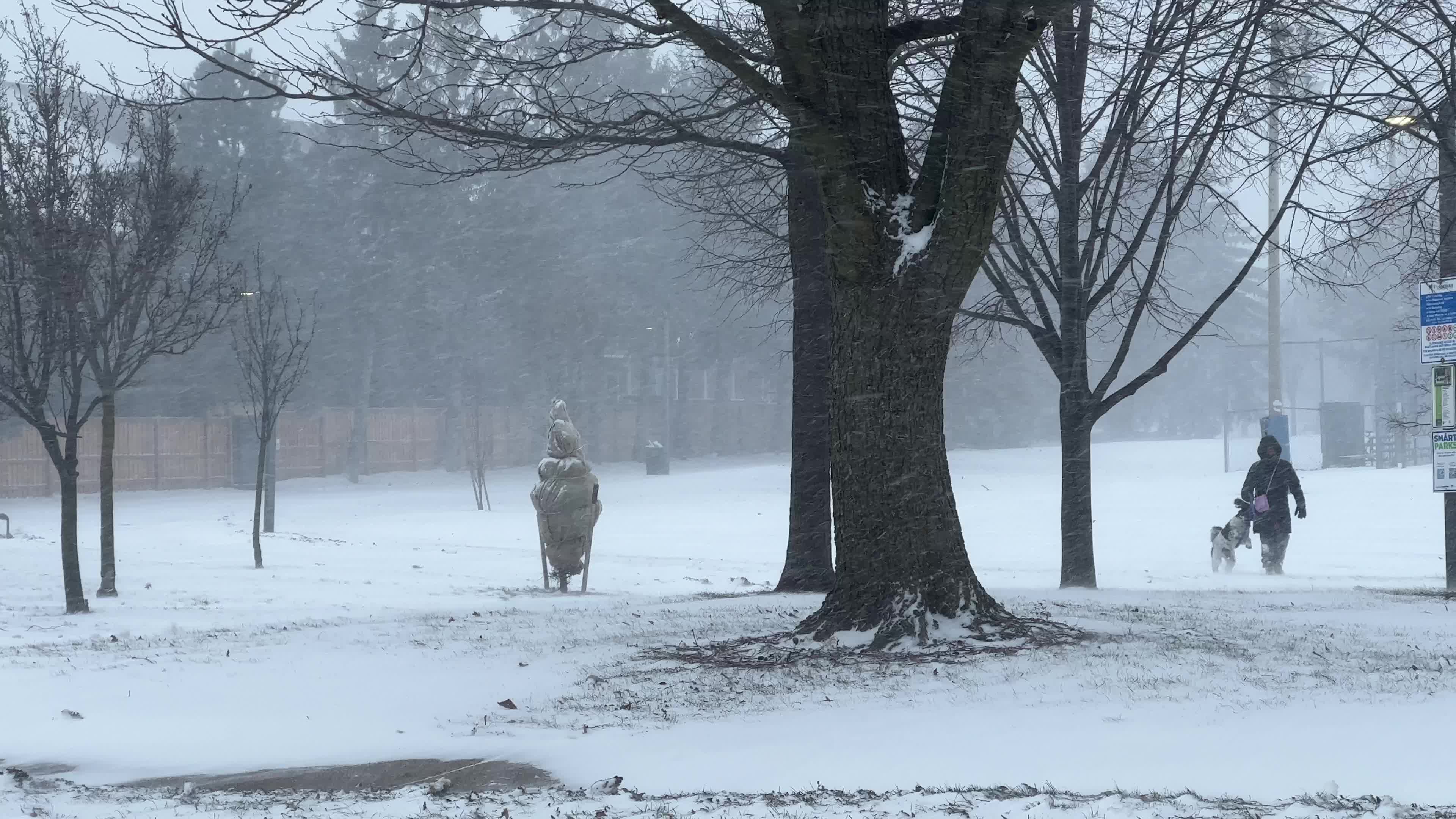 Boxing Day snowstorm in Toronto 