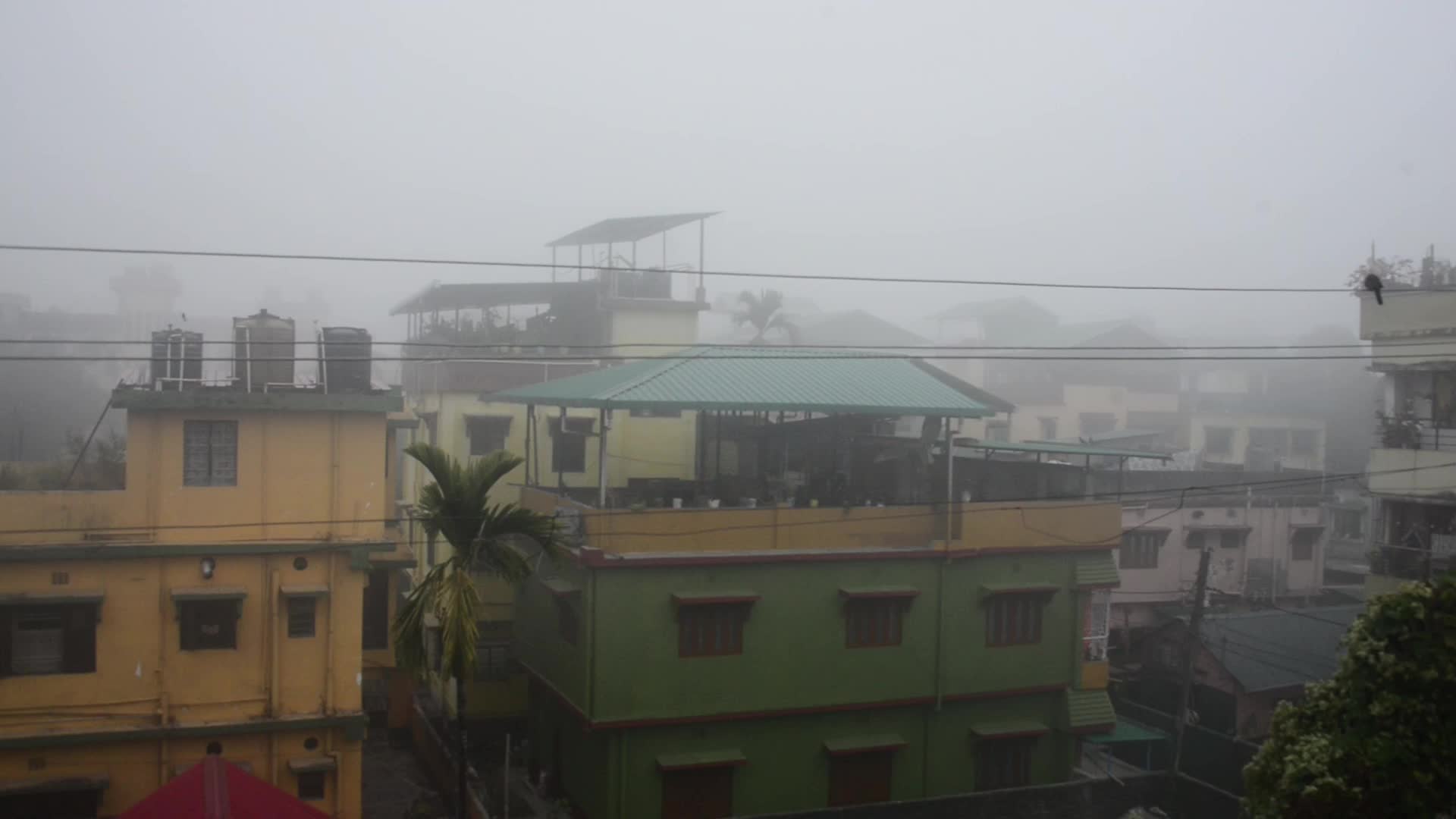 India Weather Cold Fog