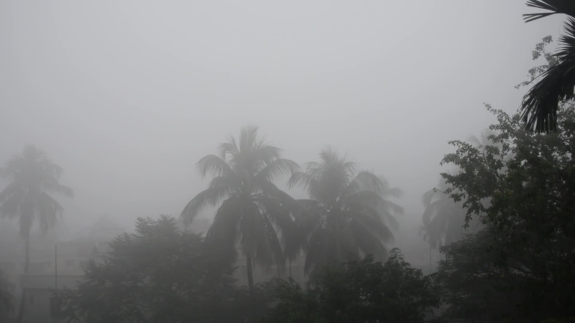 India Weather Cold Fog