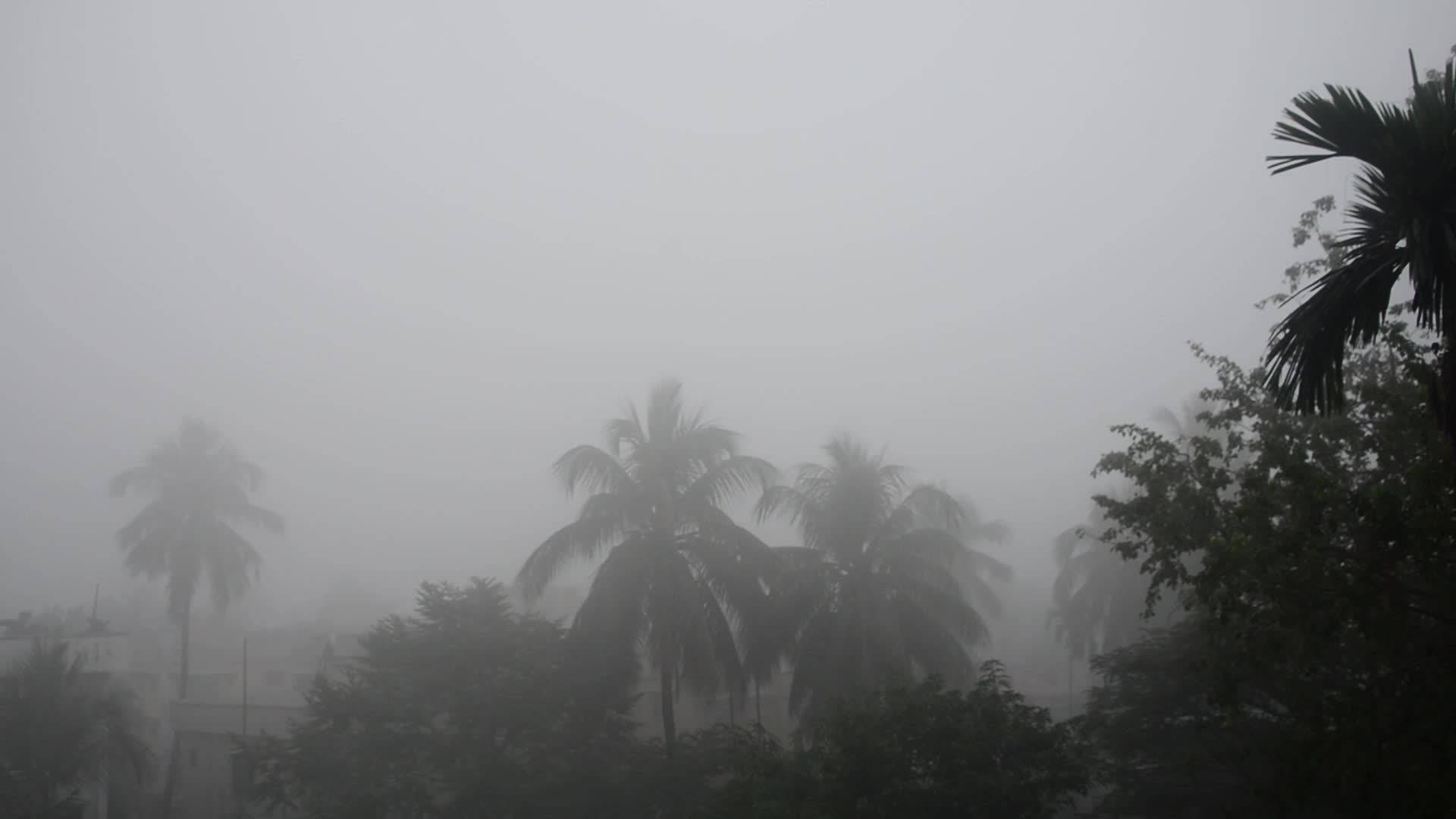India Weather Cold Fog