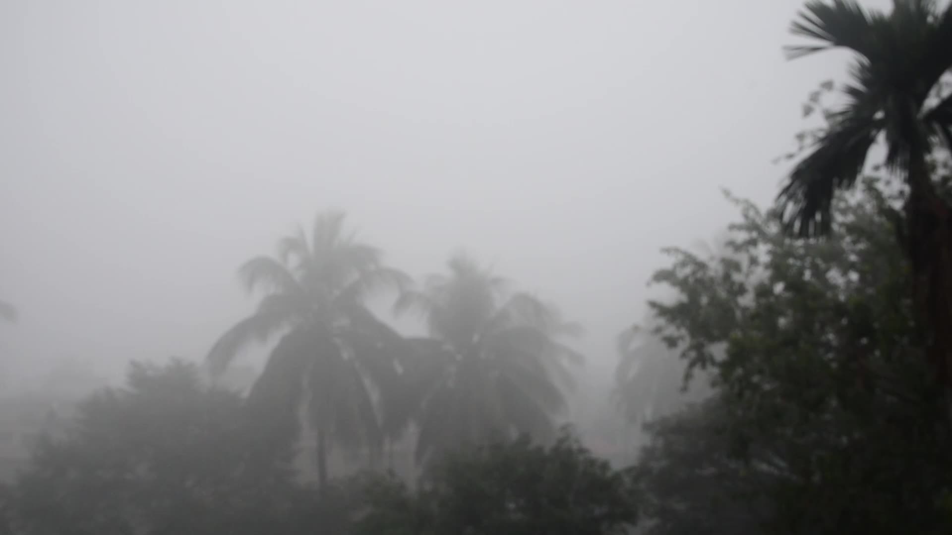 India Weather Cold Fog