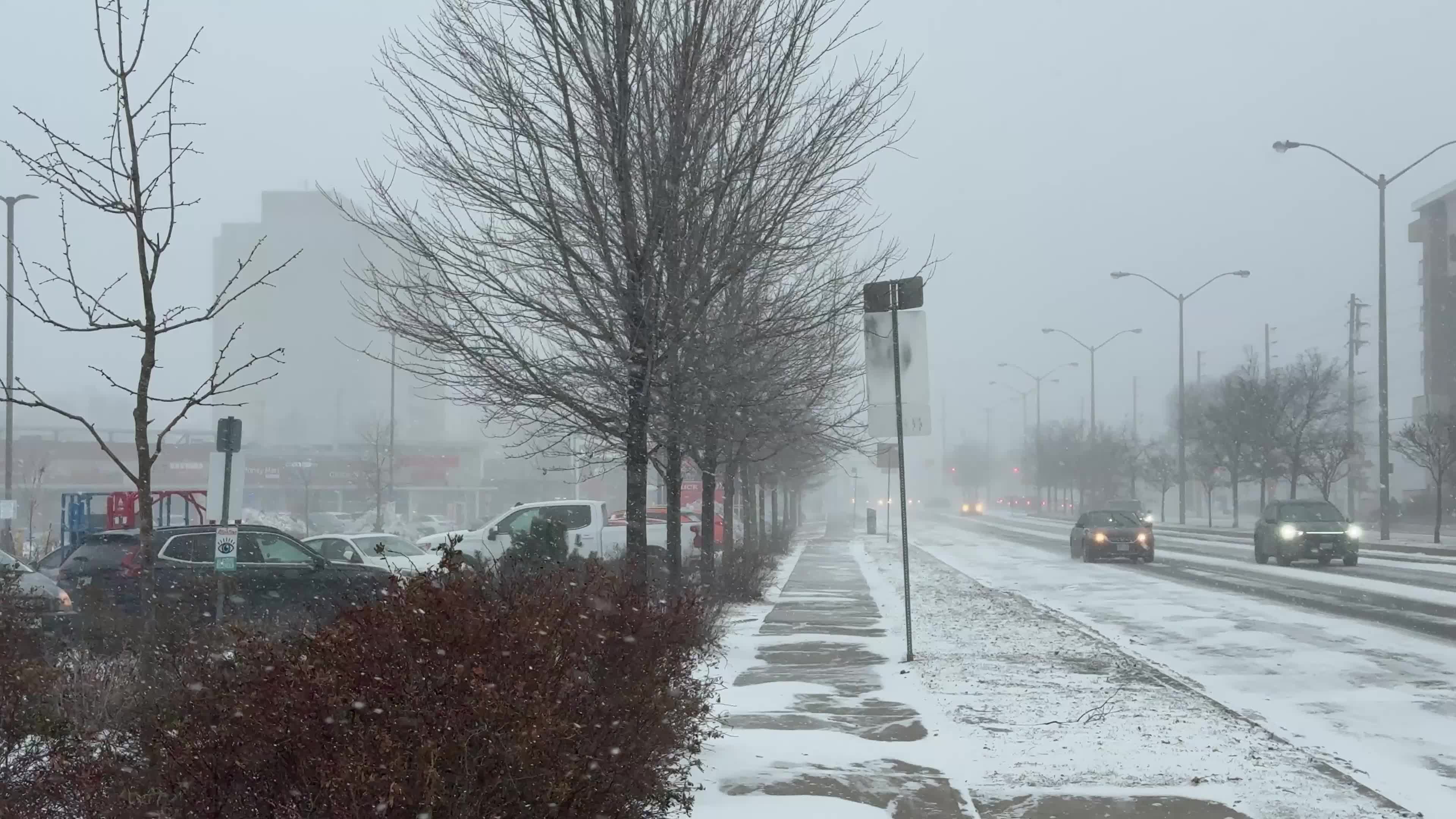 Snowstorm in Toronto, Canada