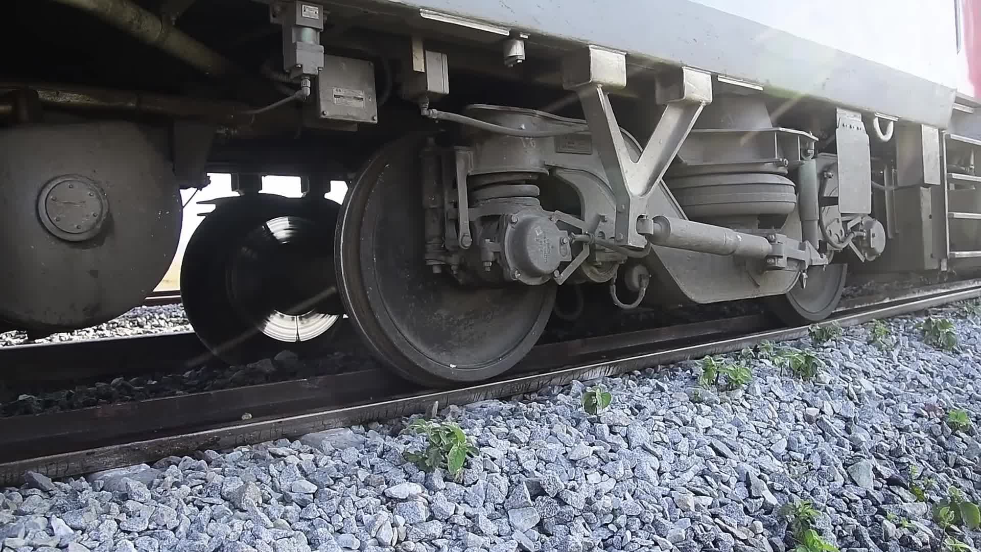 8 elephants killed after By Rajdhani Express In Assam, India 