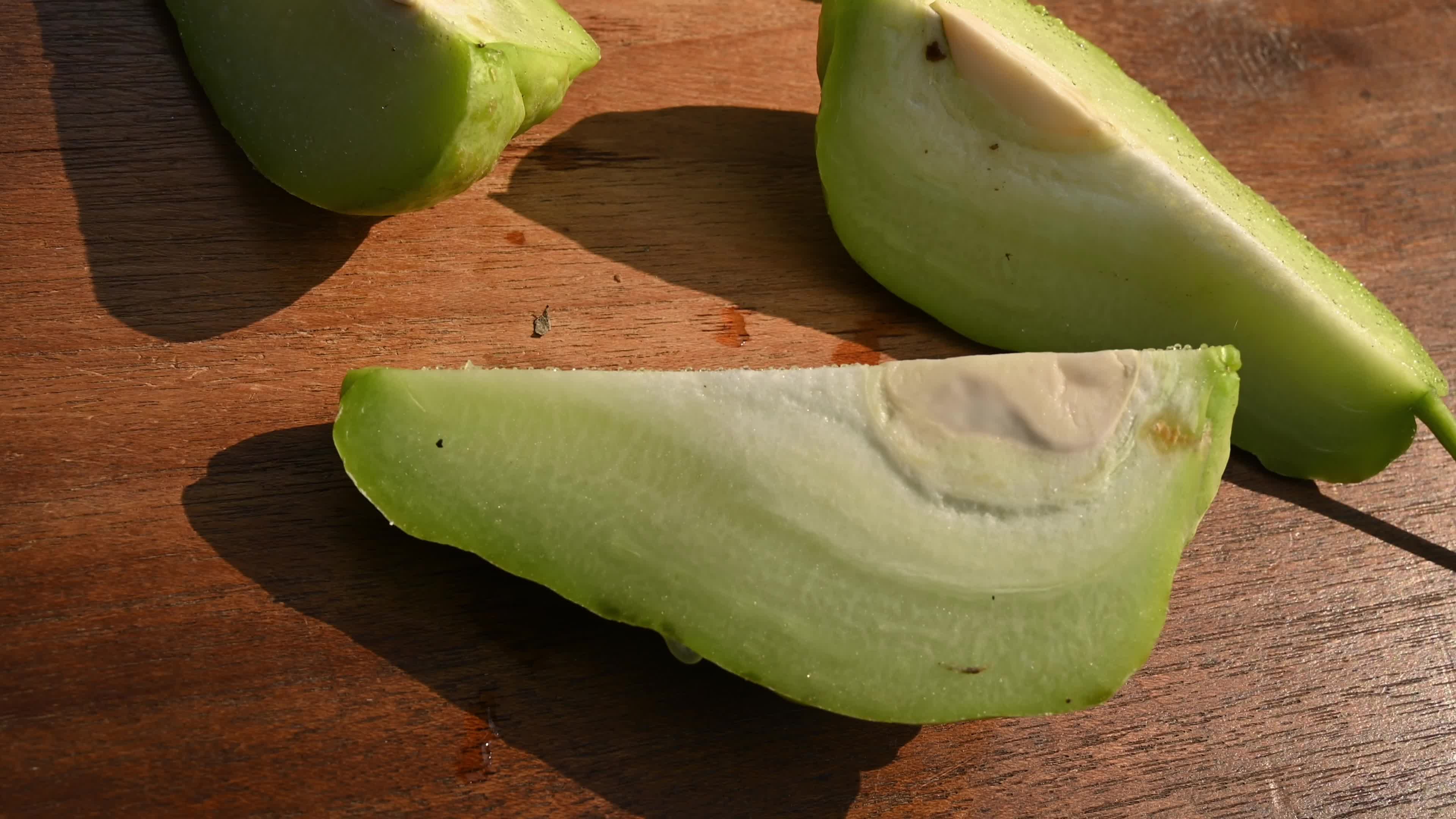 Chayote (Sechium edule) - Pear Squash - Vegetable 