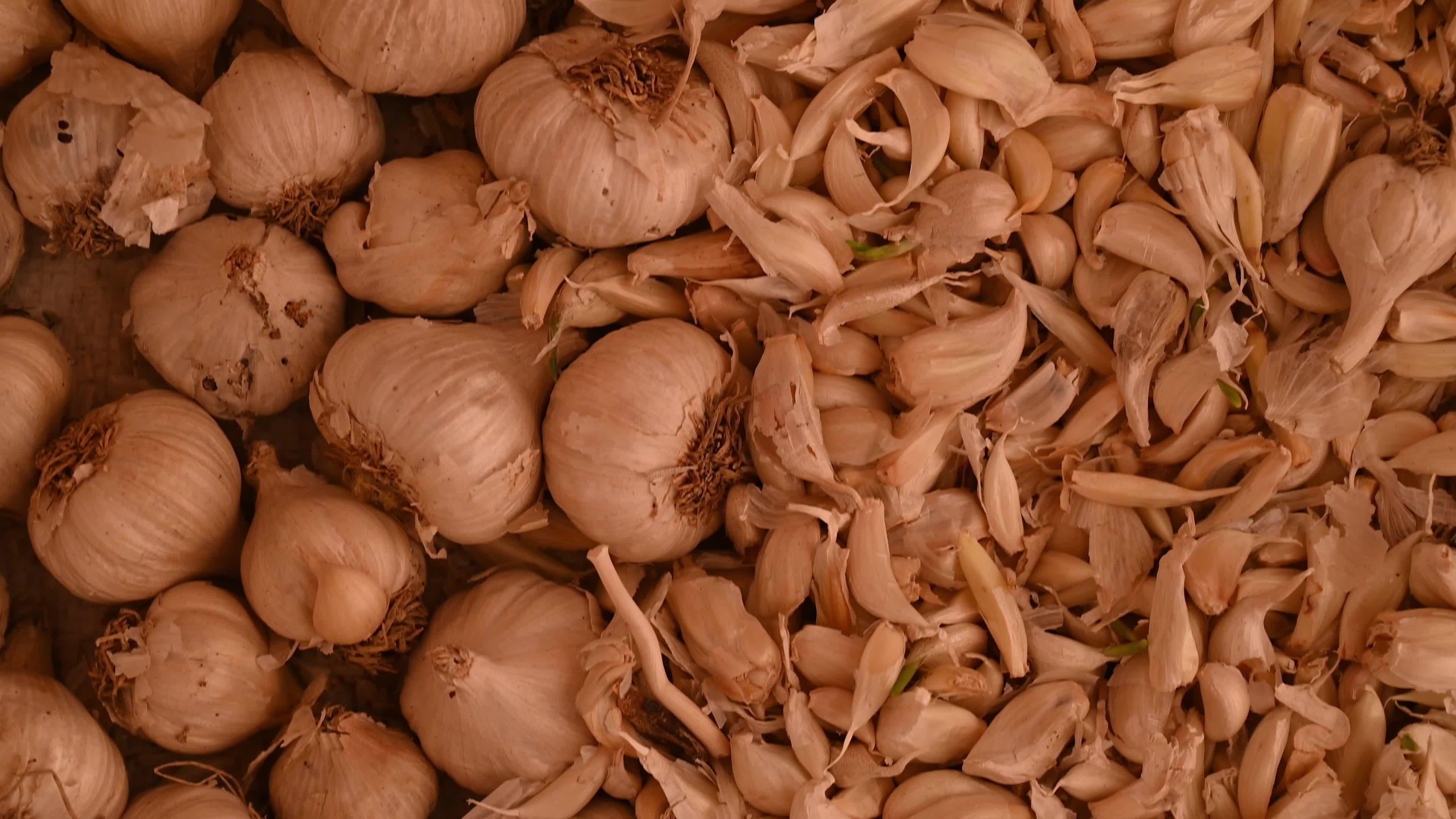 Garlic - Allium sativum - Indian Vegetables 