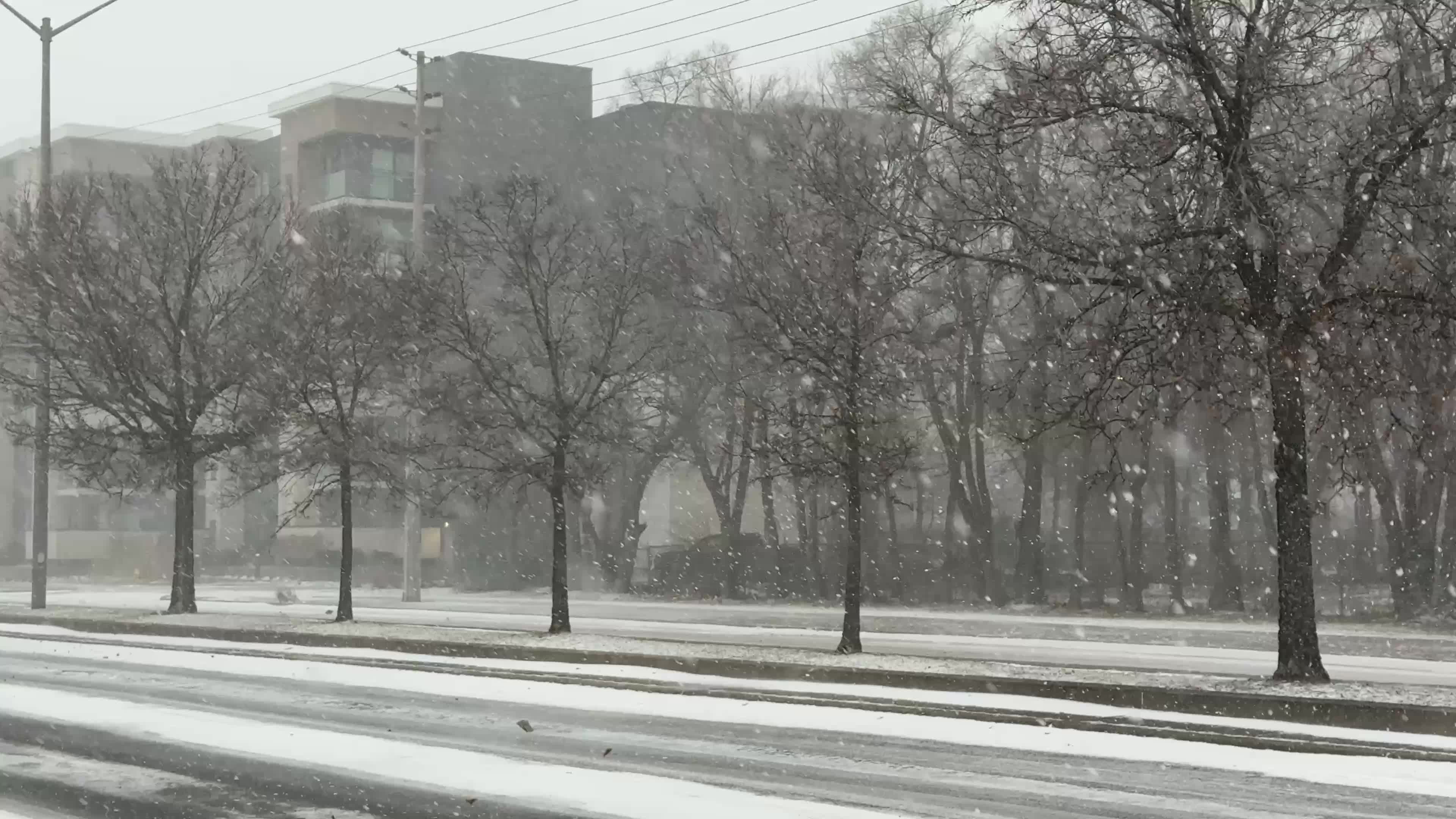 Snowstorm in Toronto, Canada