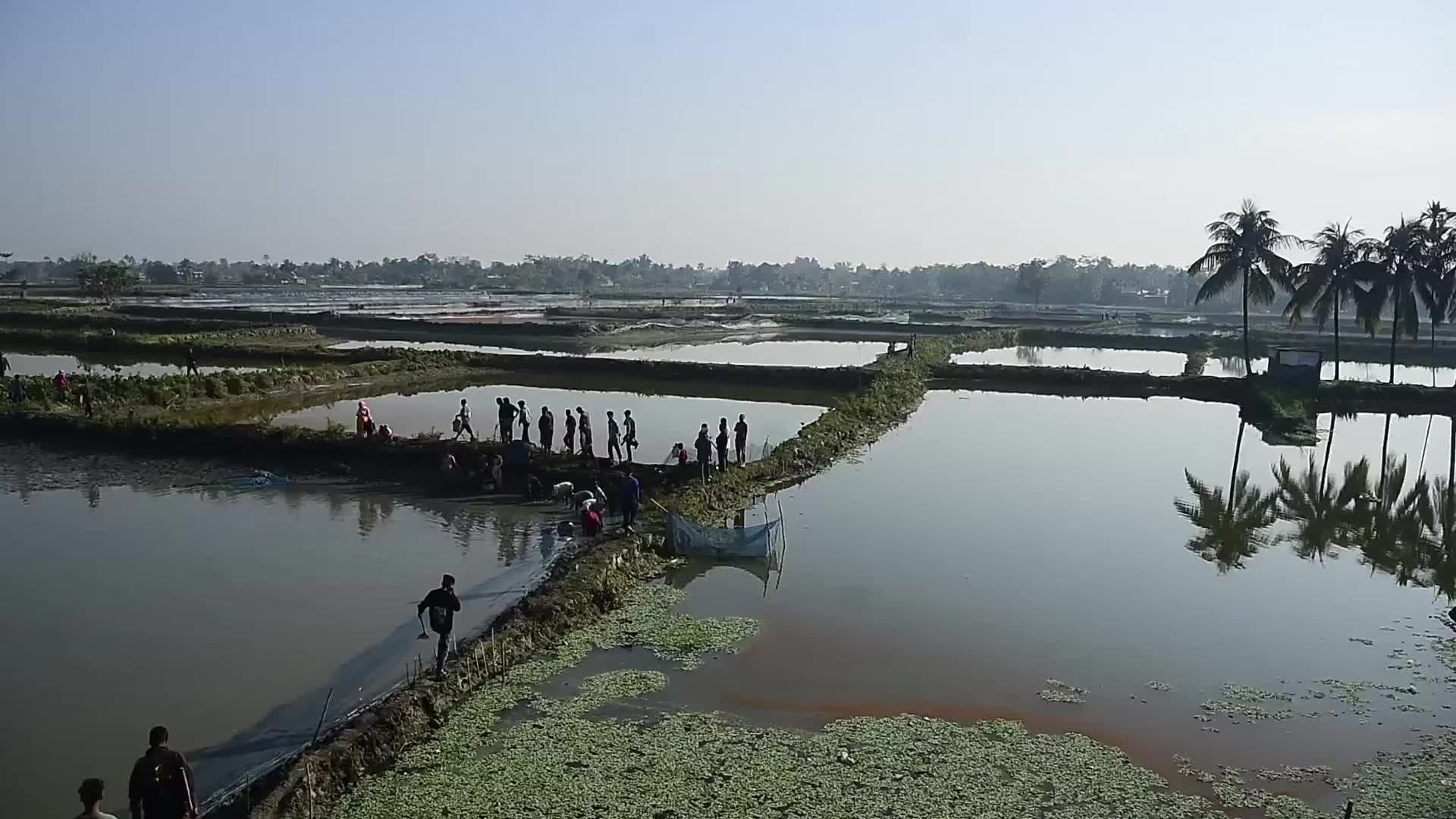 Major Eviction Drive in Dhing Revenue Circle to Demolish 565 Illegal Fisheries and Restore Natural Waterways in India 