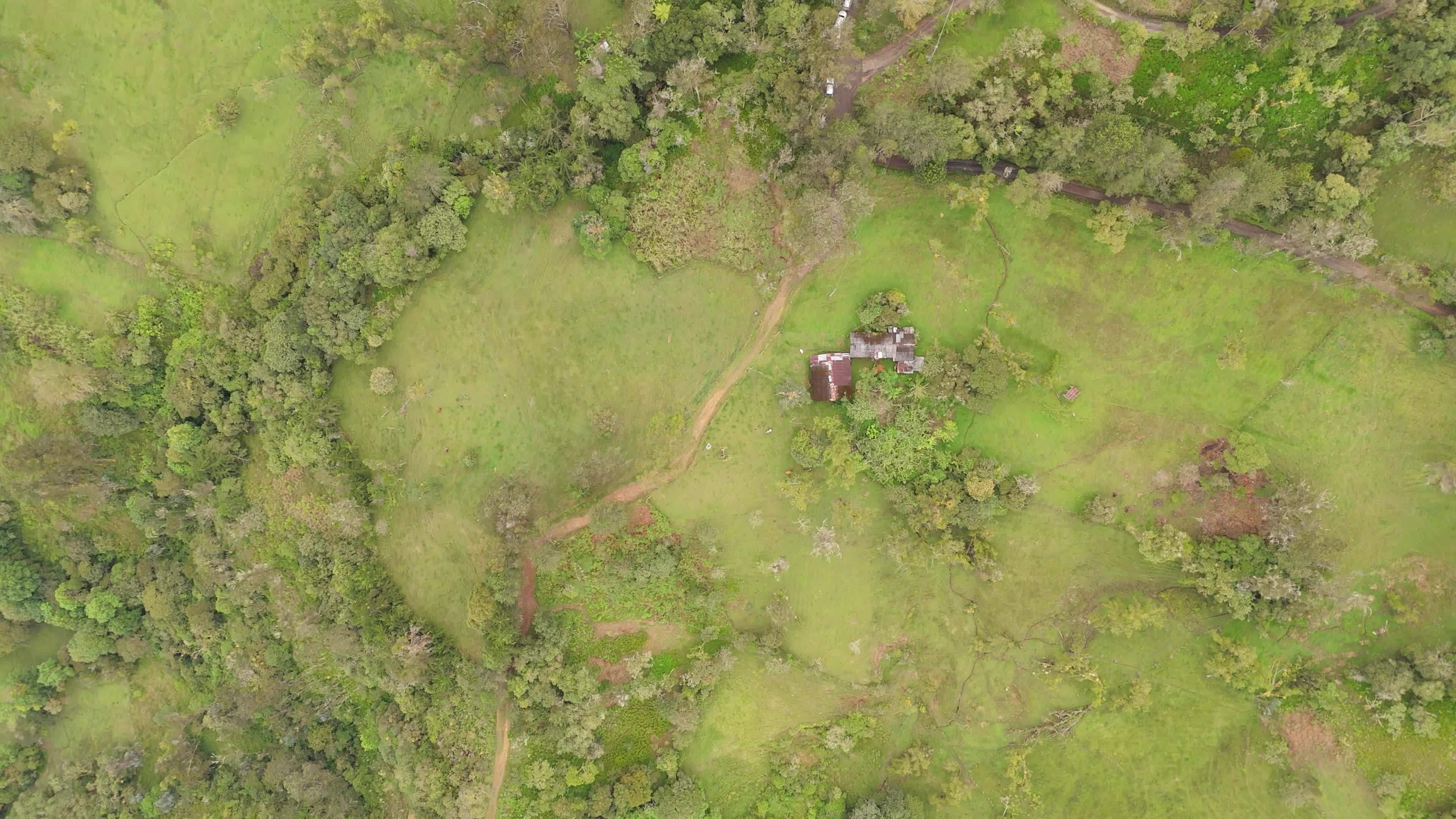 Central Colombia Livestock and Weather