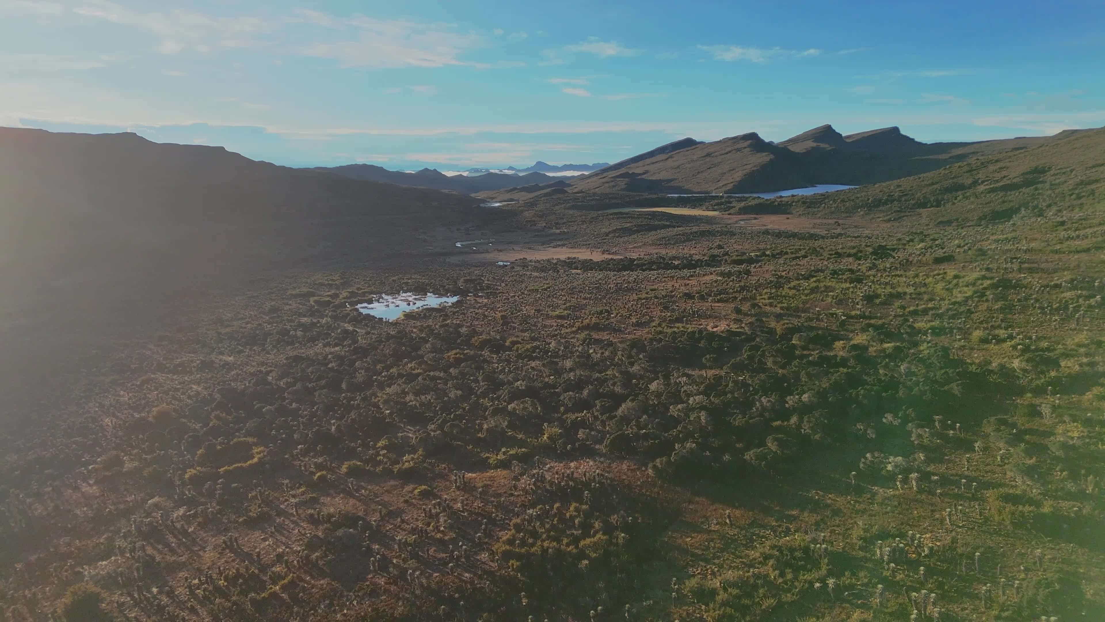 The Paramo of Sumapaz, the World's Largest Moorland