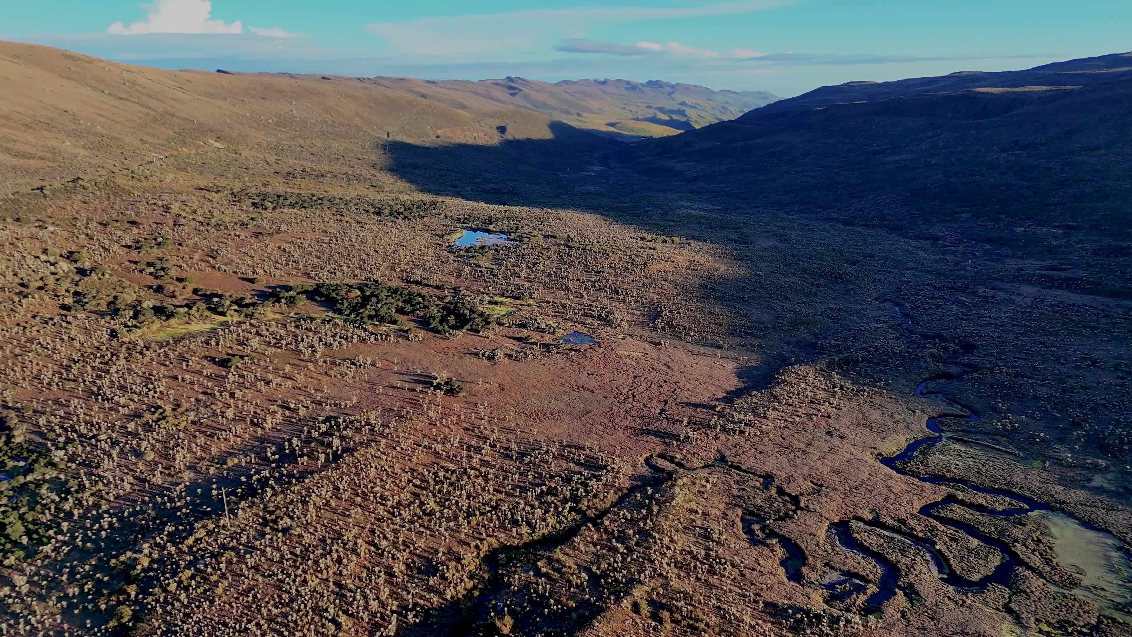 The Paramo of Sumapaz, the World's Largest Moorland