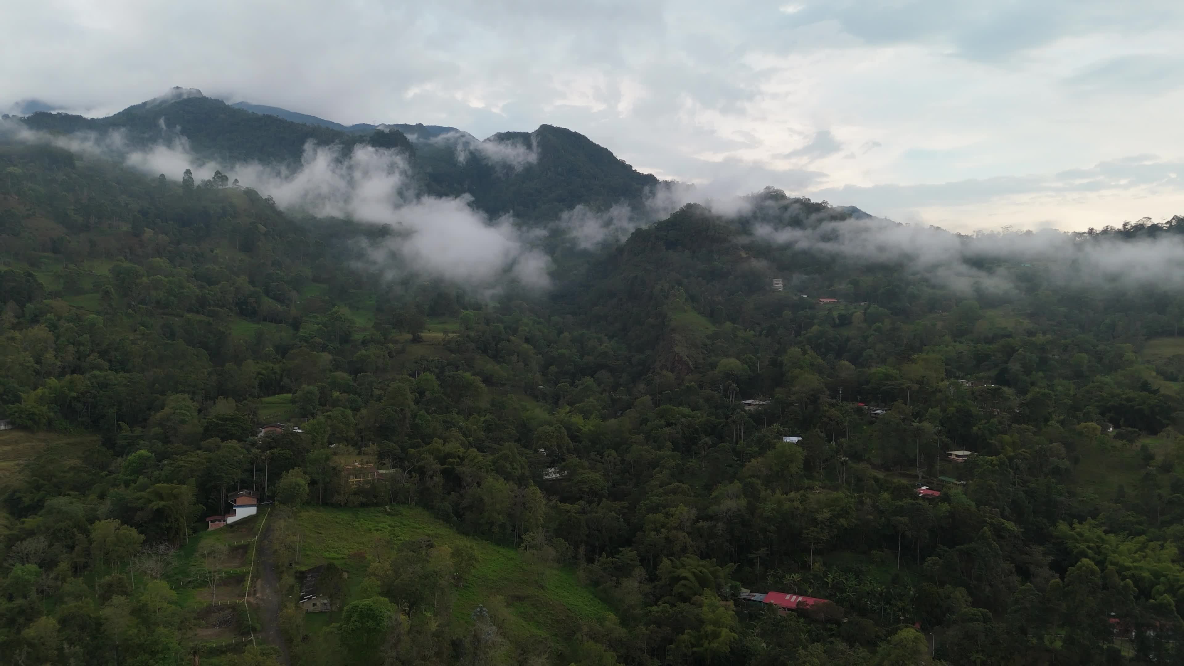 Central Colombia Livestock and Weather