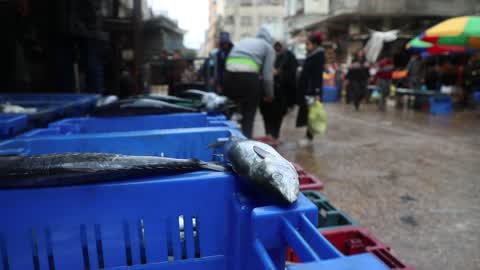Palestinian Fishermen