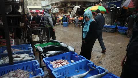 Palestinian Fishermen