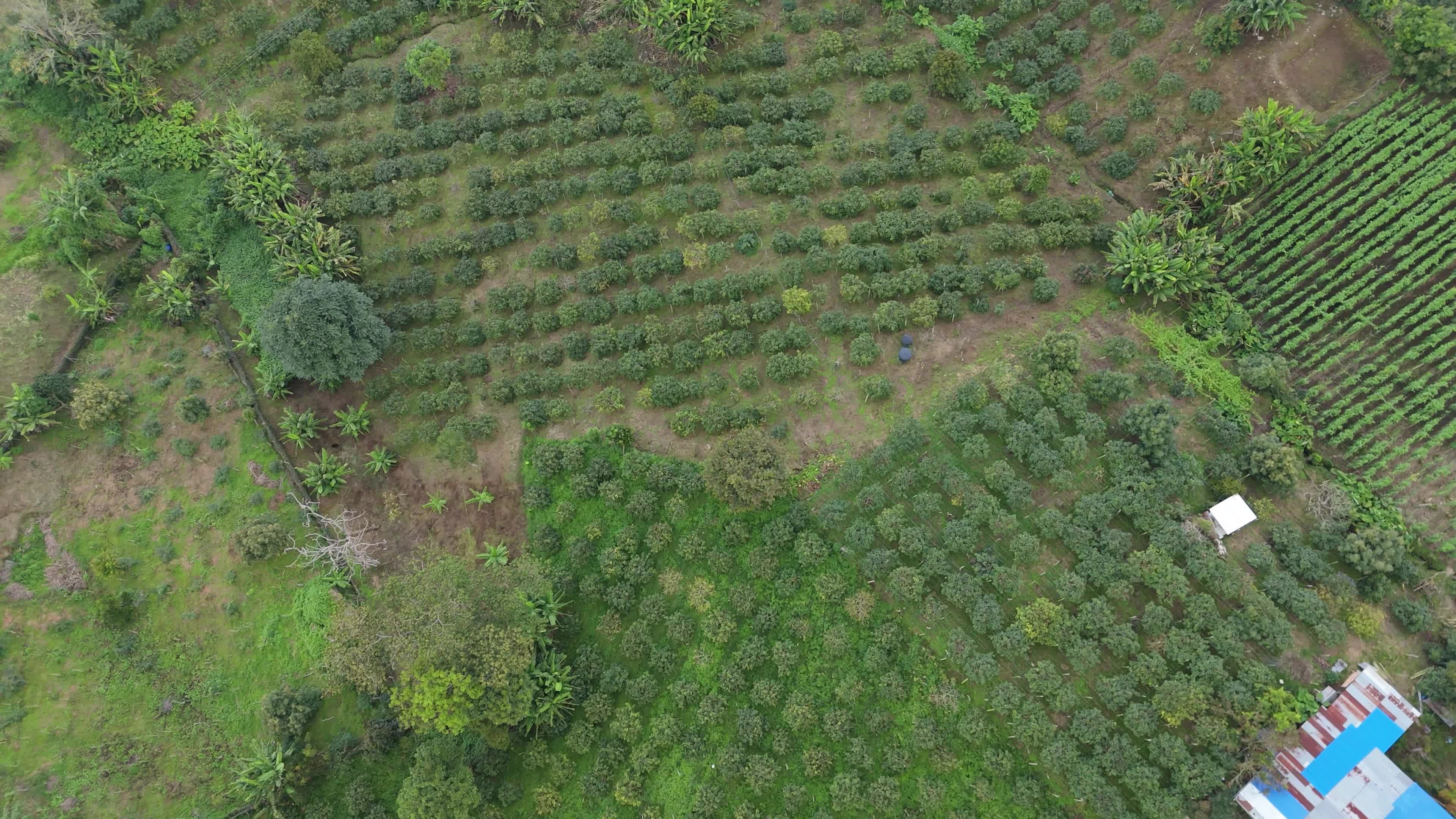 Colombia Landscapes