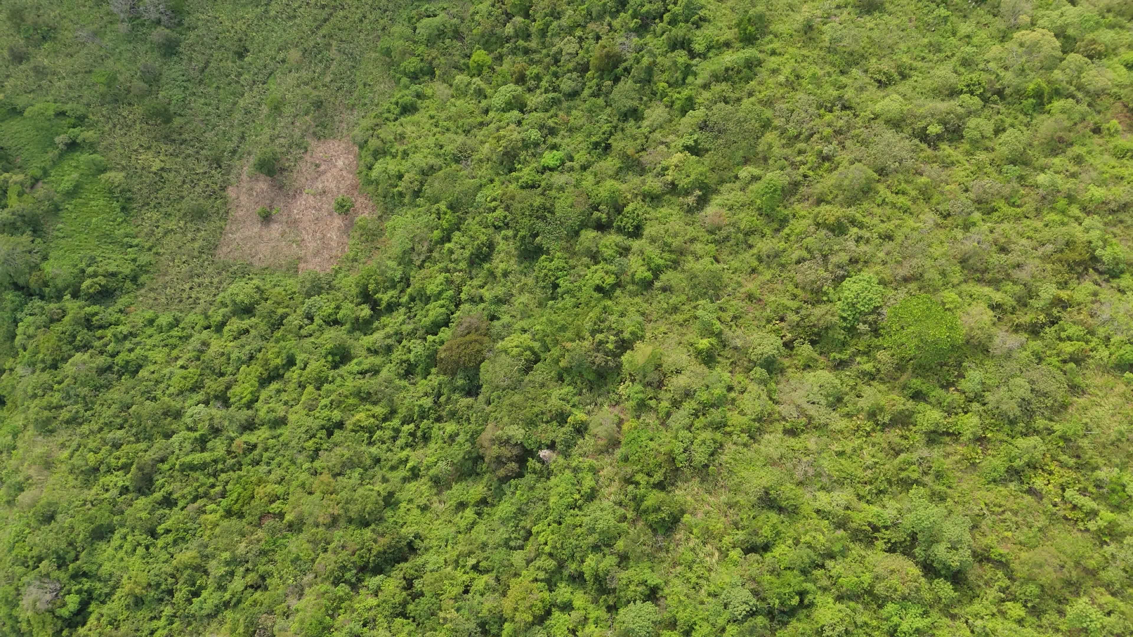 Colombia Landscapes