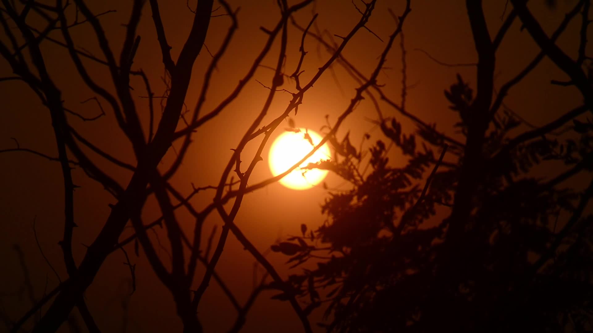 Last Sunset of Year 2025