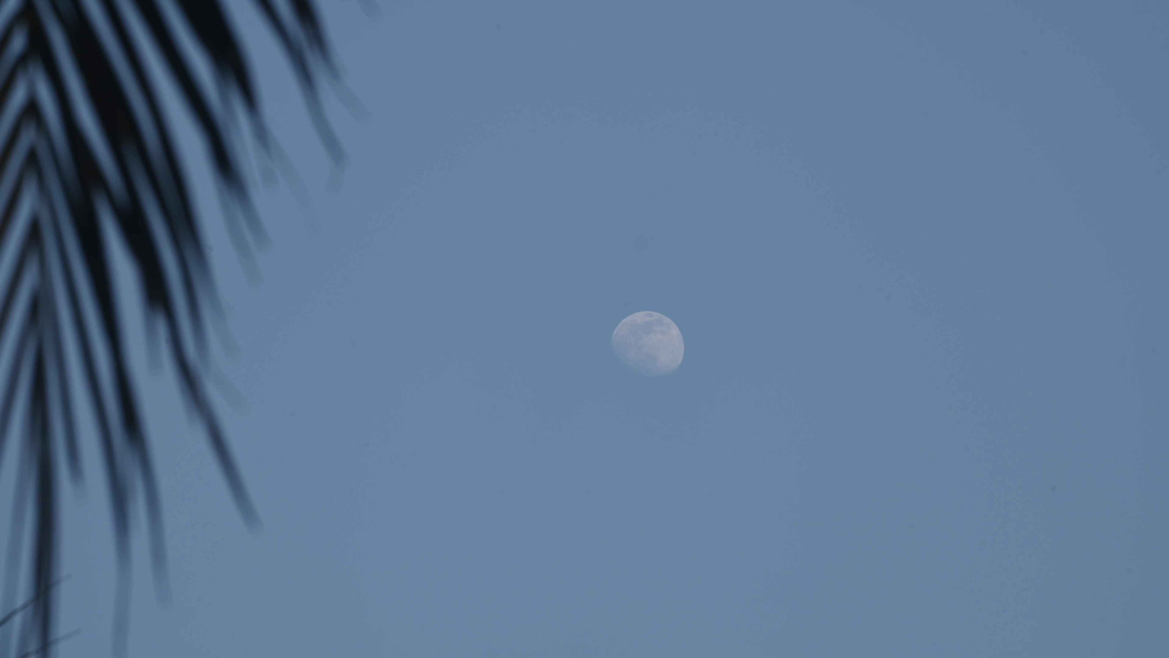 The Last Moon Of The Year - 2025 - New Year's Eve 