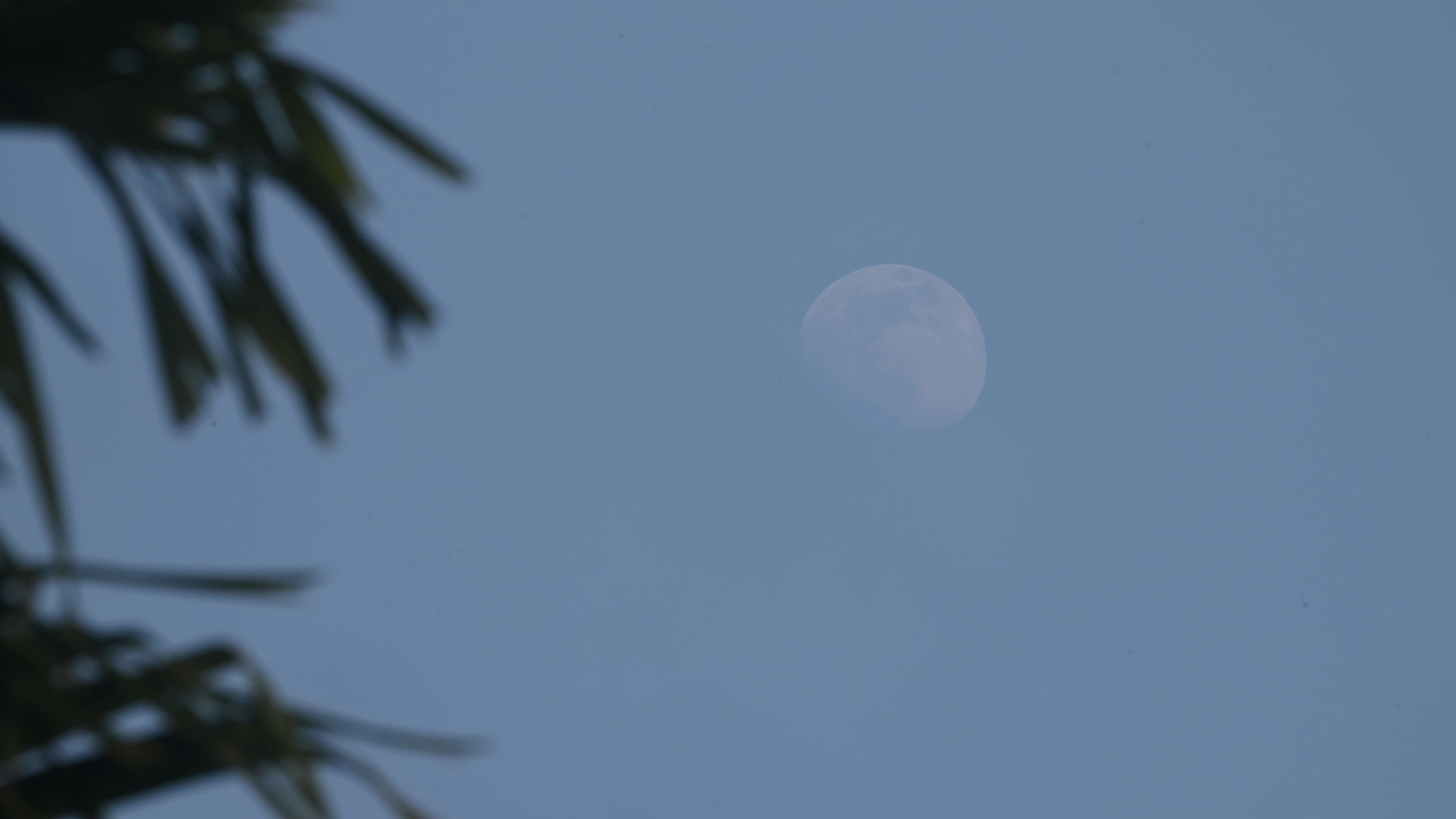 The Last Moon Of The Year - 2025 - New Year's Eve 