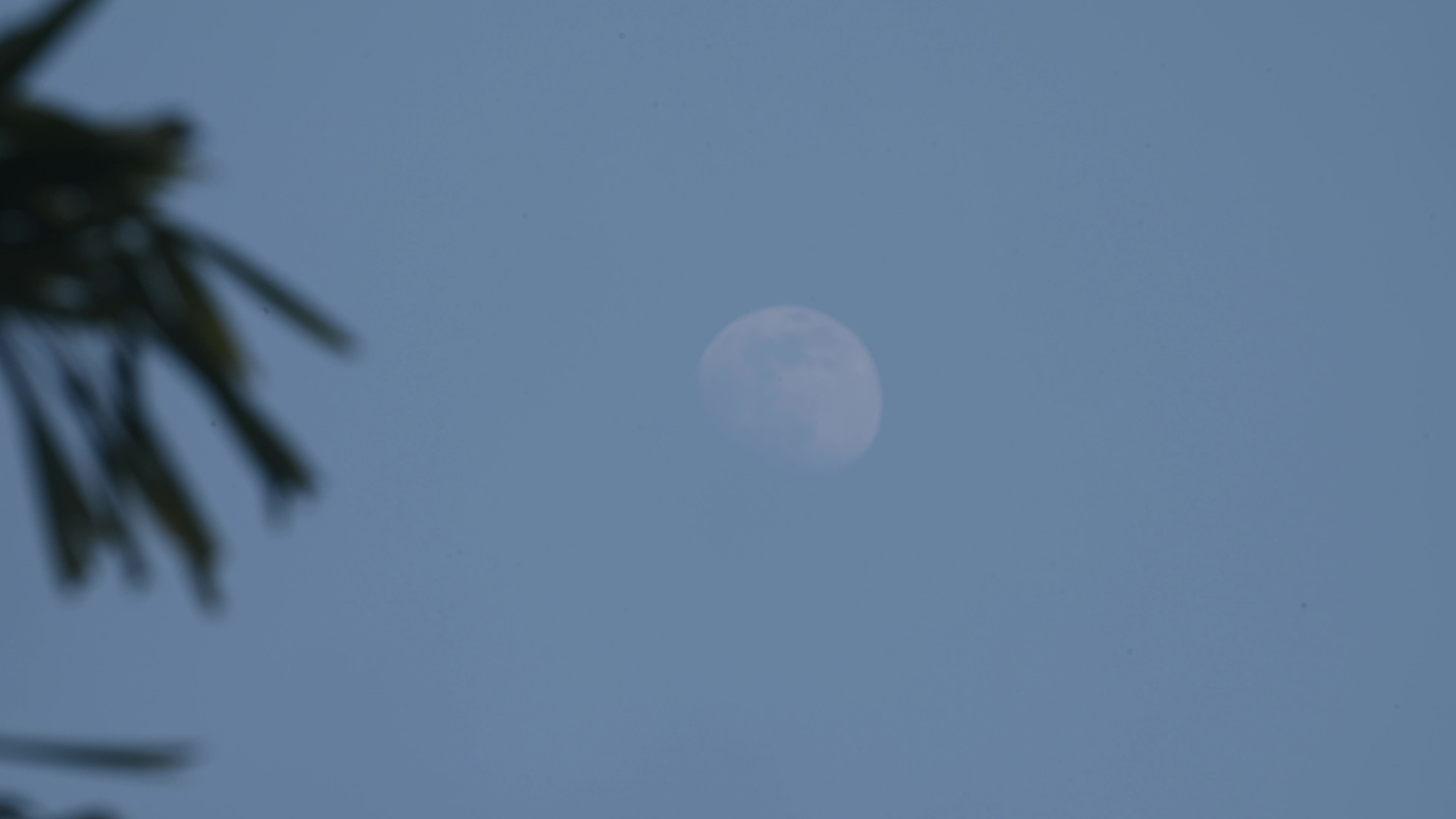 The Last Moon Of The Year - 2025 - New Year's Eve 