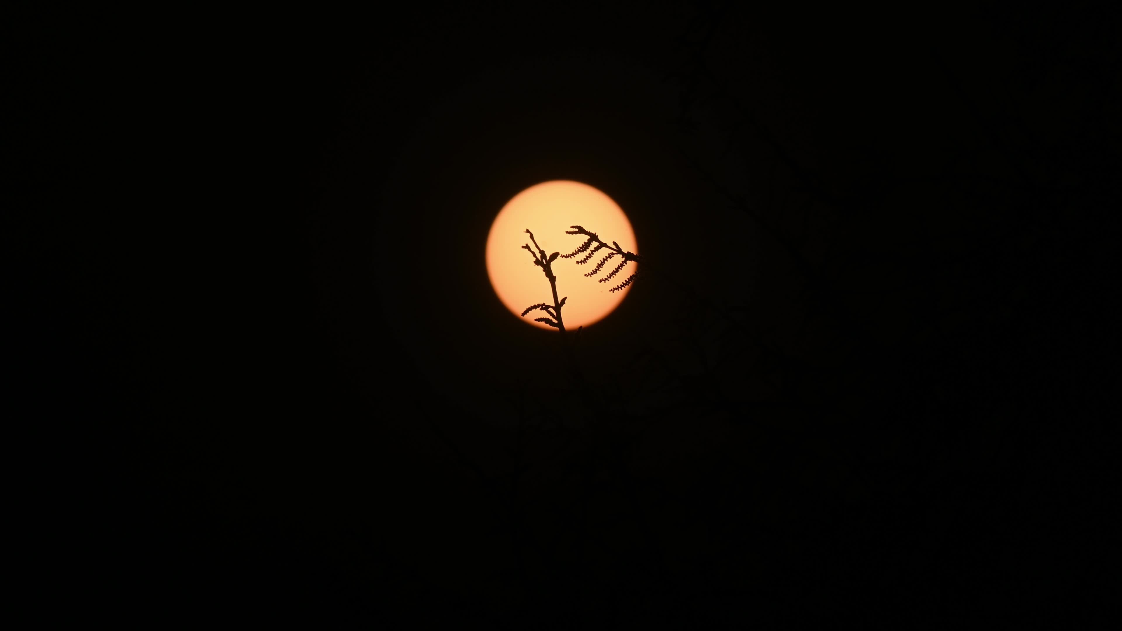 The Last Sunset Of The Year - 2025 - New Year's Eve 