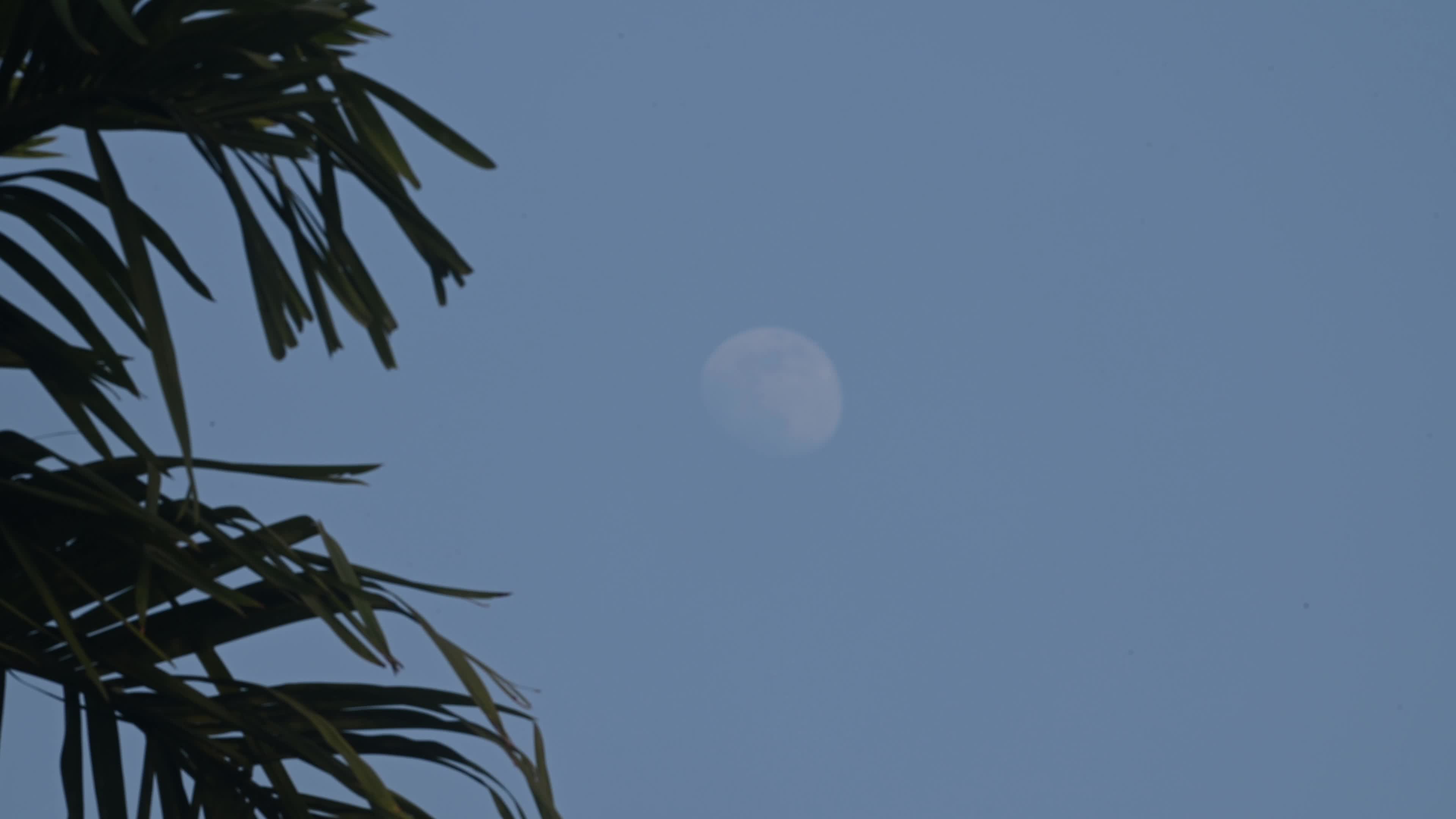 The Last Moon Of The Year - 2025 - New Year's Eve 