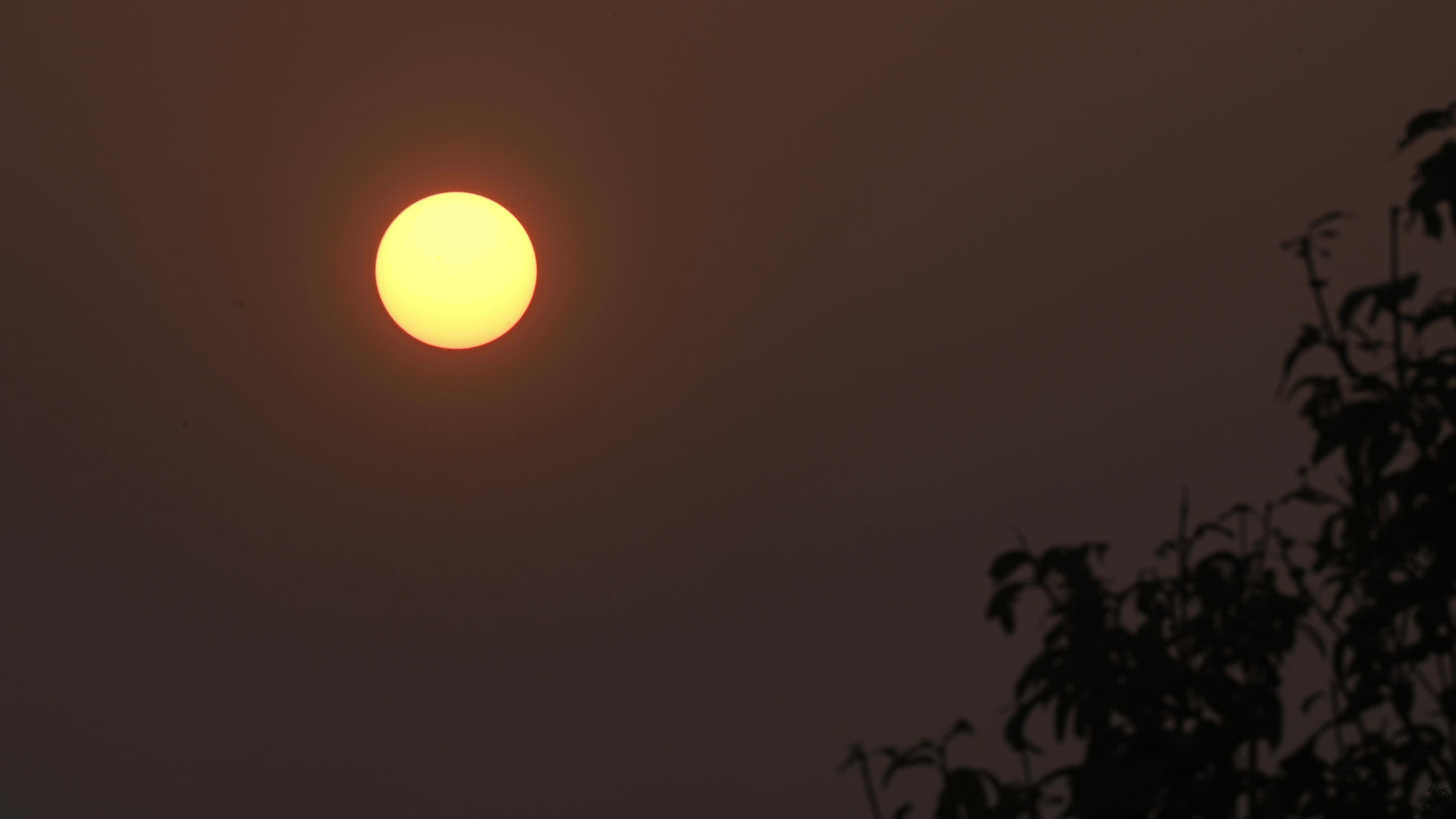The Last Sunset Of The Year - 2025 - New Year's Eve 